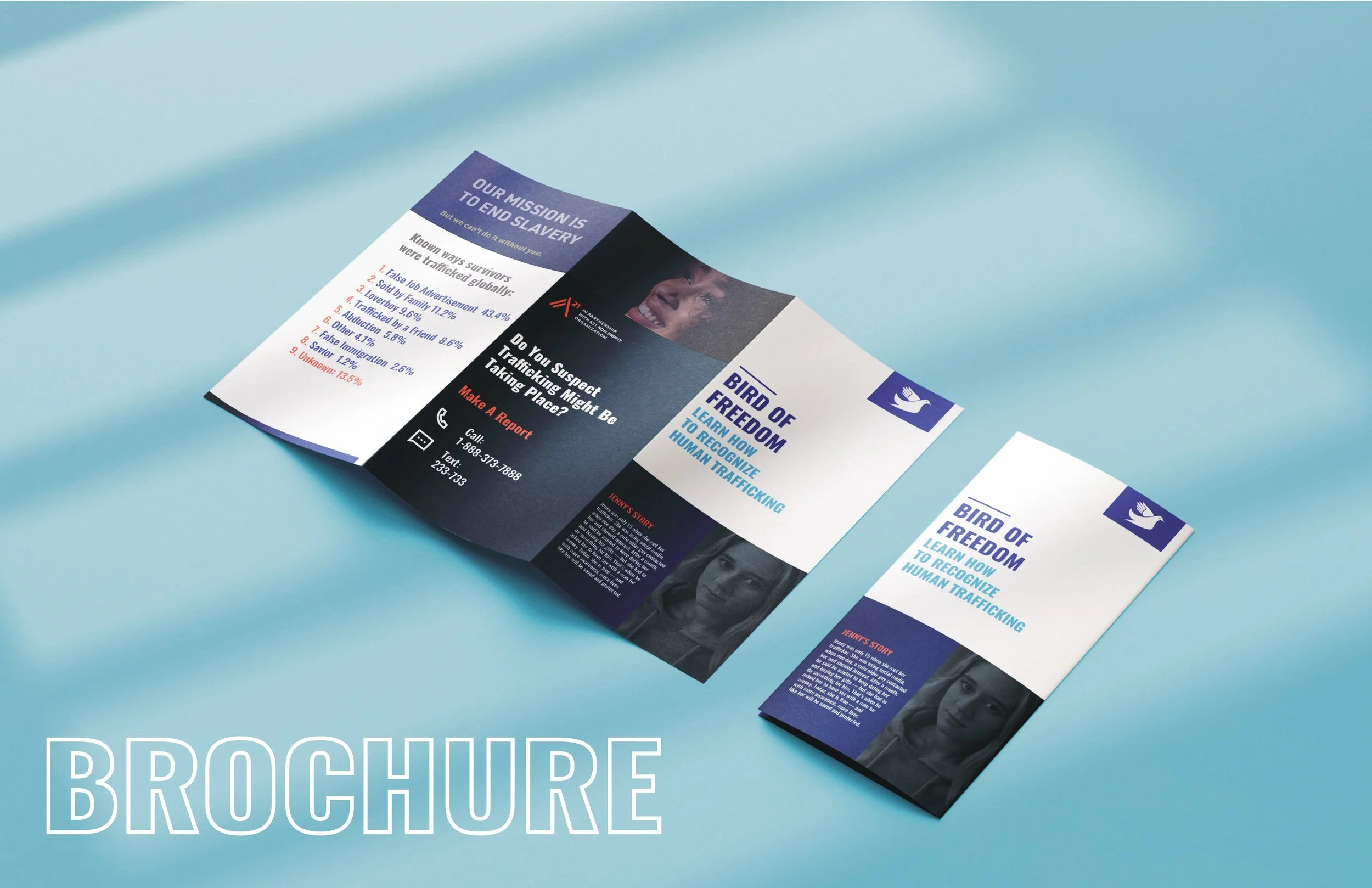 Anastasiia_Ishchuk_FINAL_CAMPAIGN PROCESS BOOK_DES4430_pages-to-jpg-0022.jpg