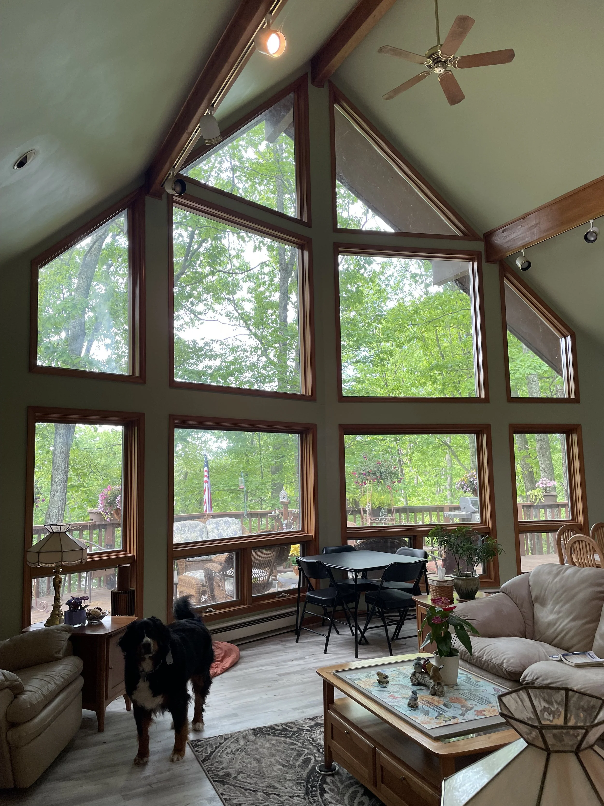 Home Window Cleaning