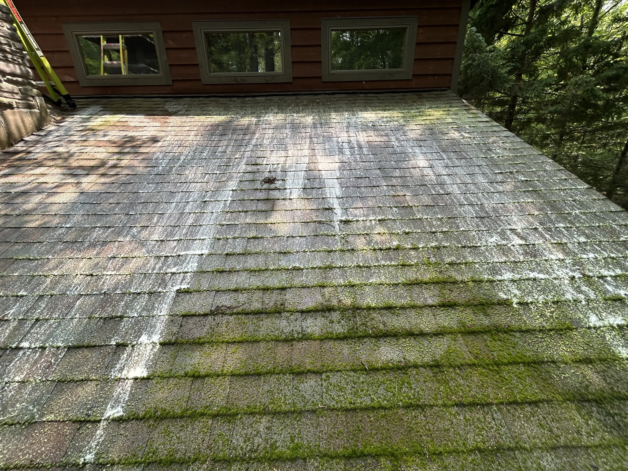 Roof soft washing service removing moss and organic growth from asphalt shingles in Northeastern Pennsylvania.