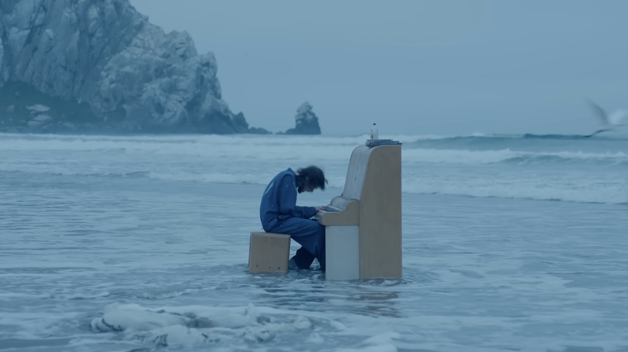 A Flower That Bloomed: QUADECA