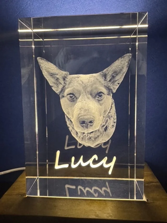 A clear acrylic block with a printed image of a dog's face and ears. The block also features the name "Lucy" illuminated in yellow below the dog's face.