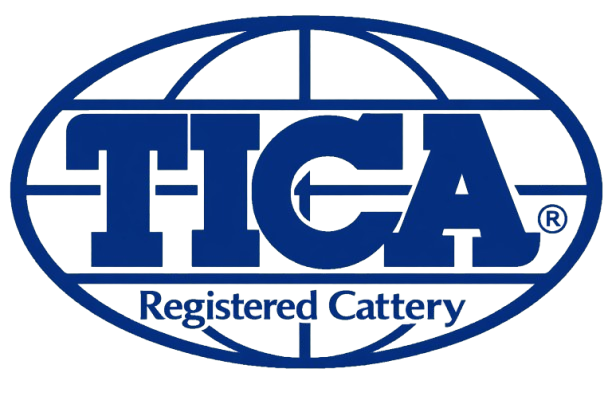 FICA Registered Cattery logo featuring an oval shape with a globe outline and the text 'FICA' and 'Registered Cattery' inside.