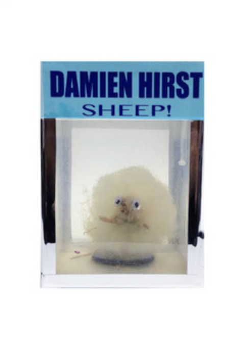 Screen Shot 2026-01-29 at 12.02.57 PM.png