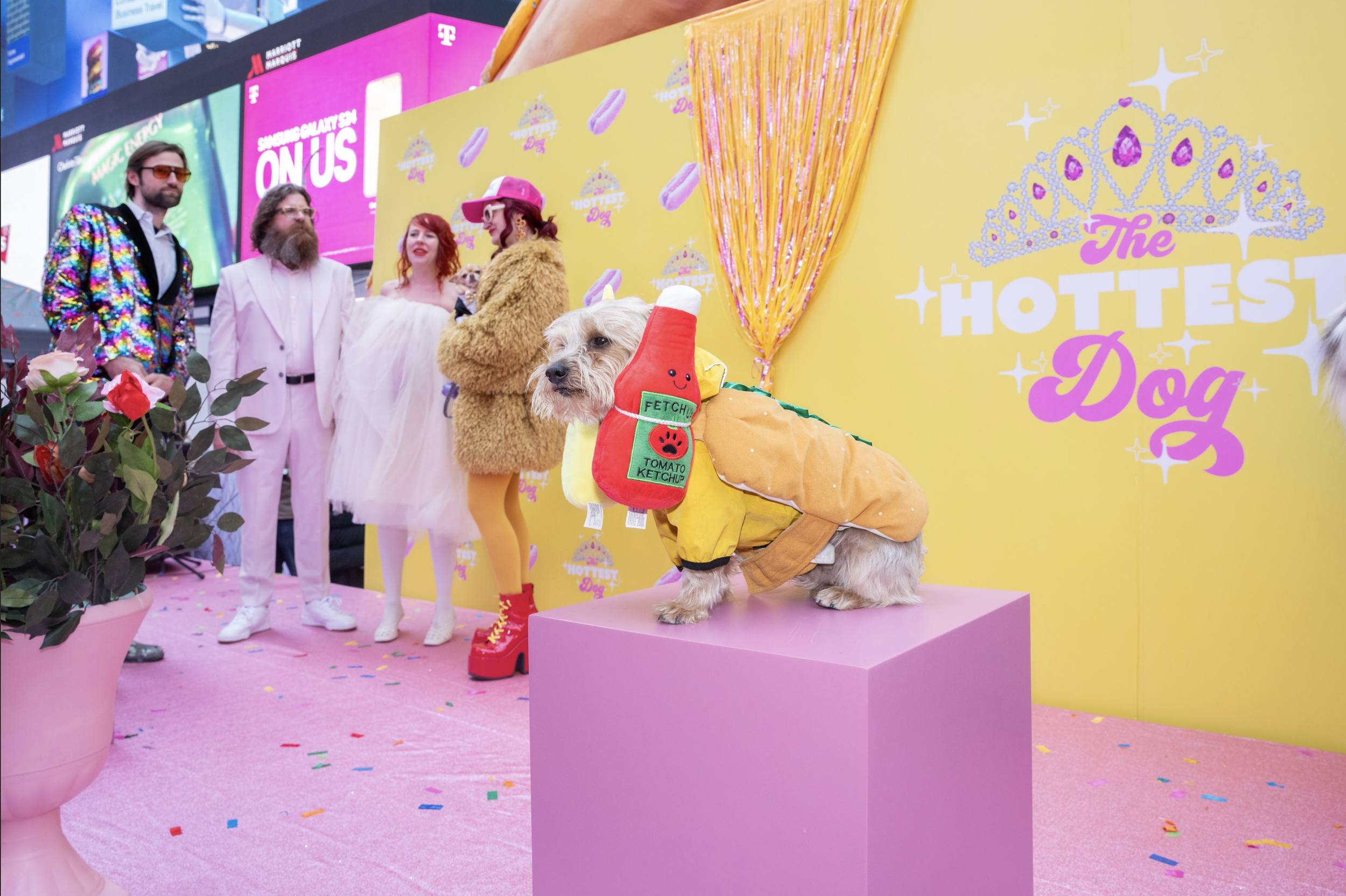 Screen Shot 2026-01-22 at 11.49.47 AM.png