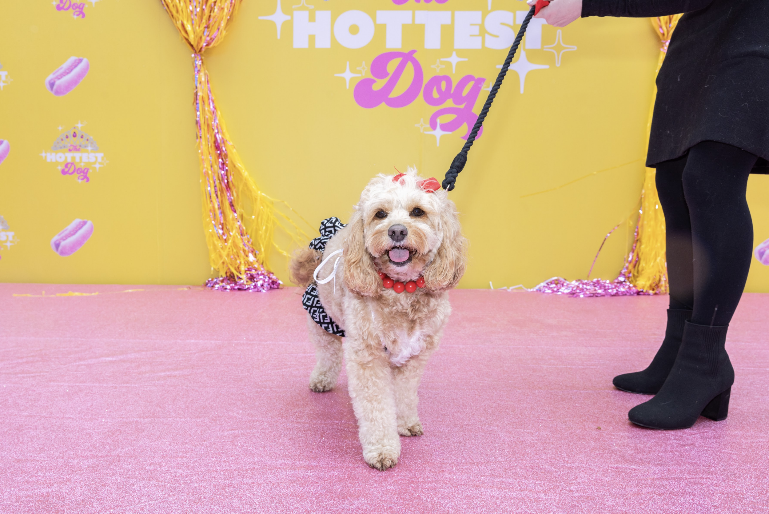 Screen Shot 2026-01-22 at 11.53.40 AM.png