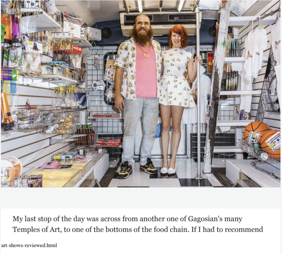 JERRY SALTZ top 19 shows 2019. NY MAG.