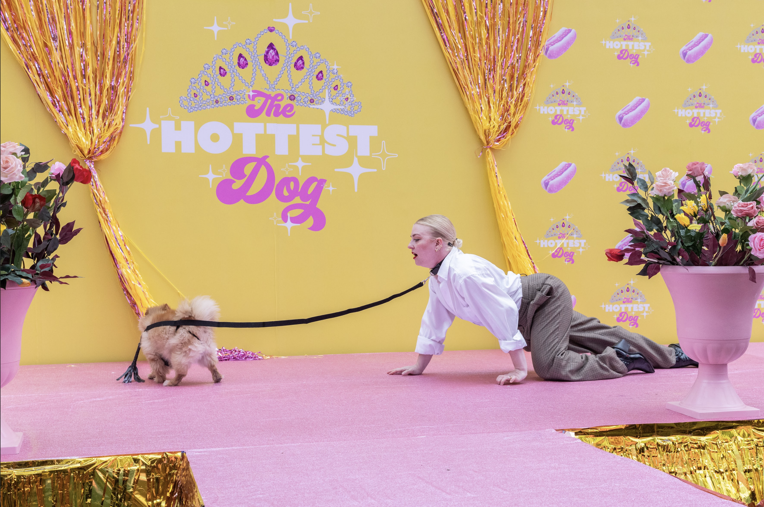 Screen Shot 2026-01-22 at 11.51.22 AM.png