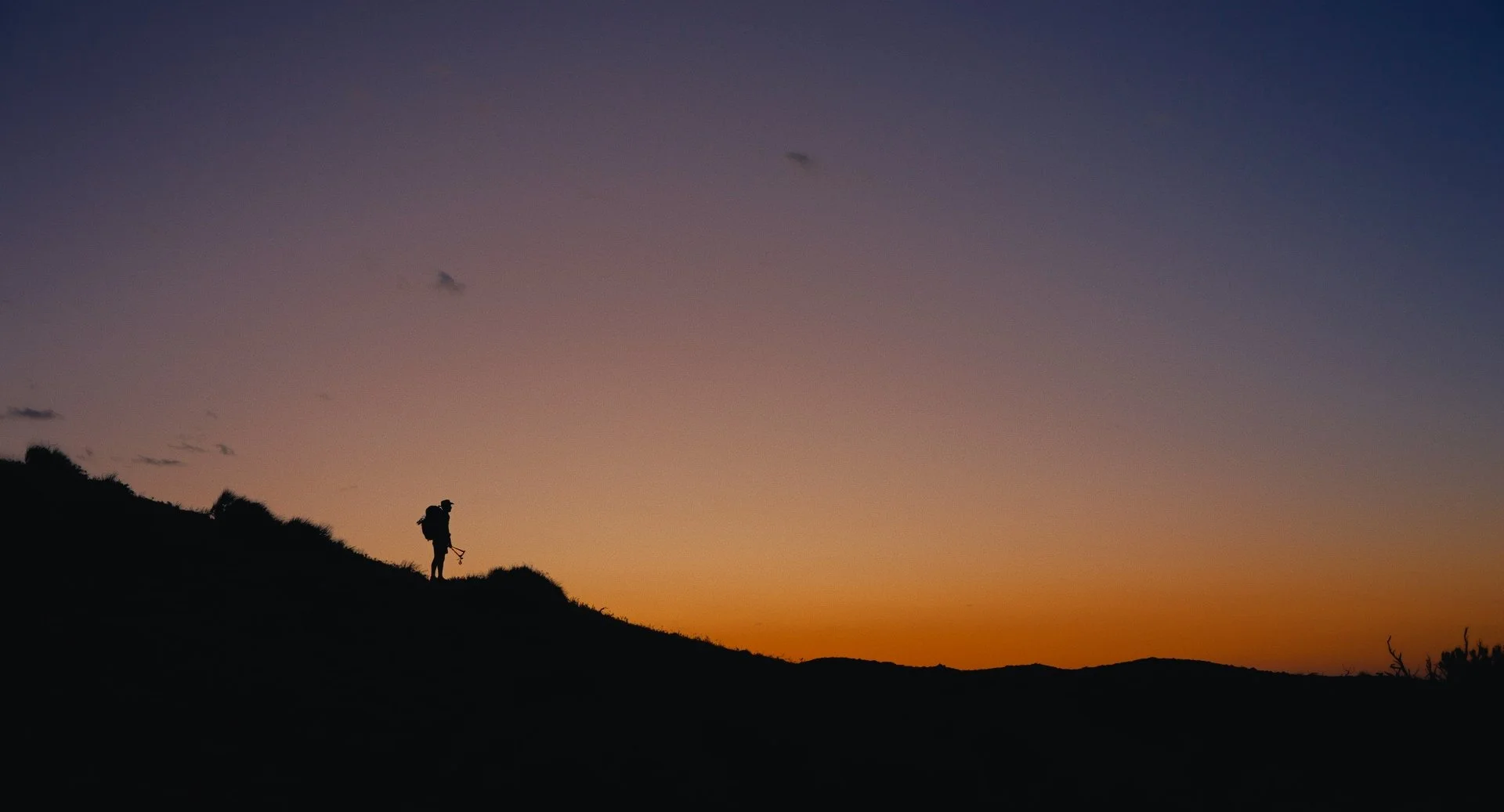 Still 2026-02-13 085405_1.1.1.jpg