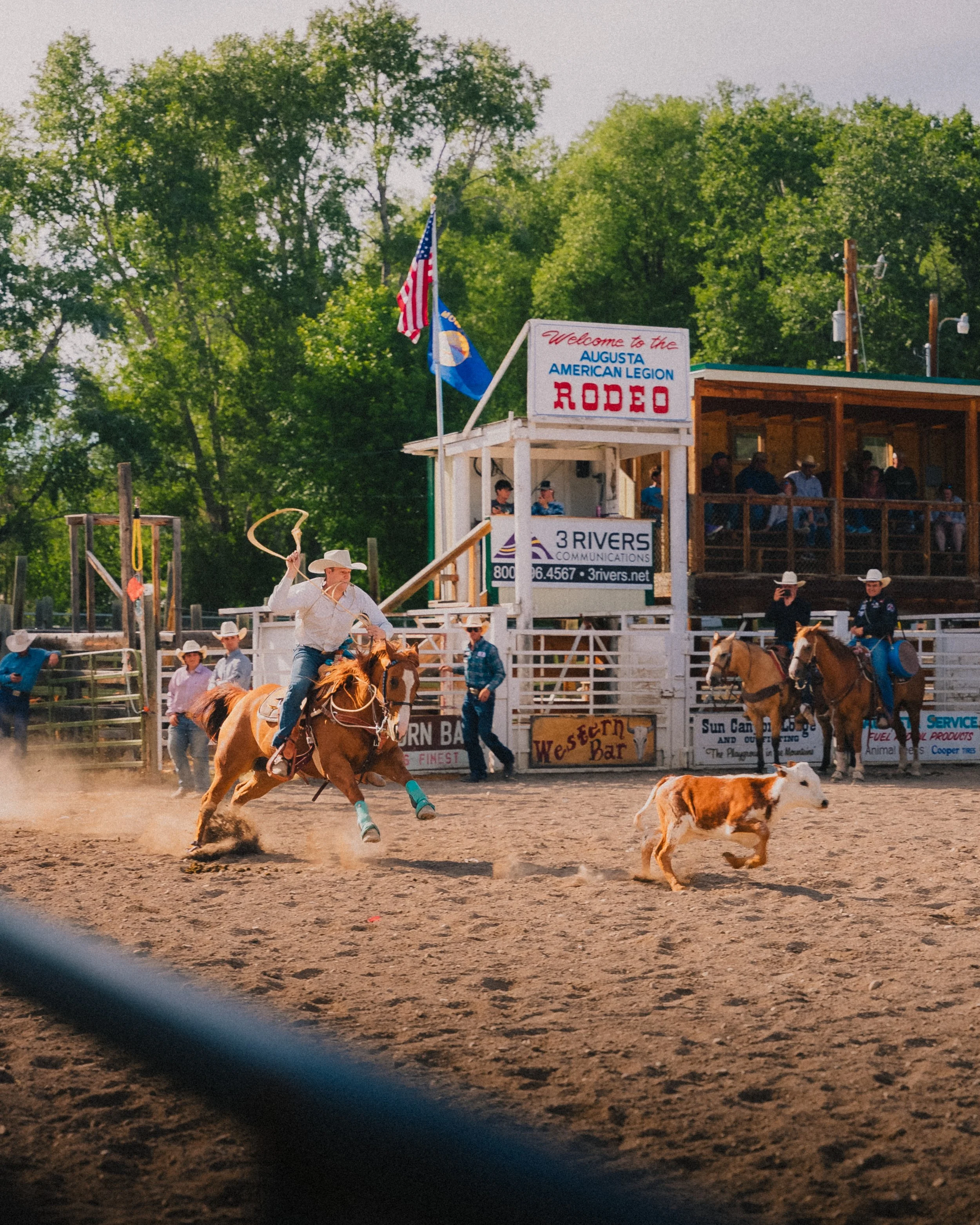 A rodeo scene with a cowboy riding a bucking horse, a calf running nearby, and several spectators watching from the stands. American flags and signs are visible in the background.
