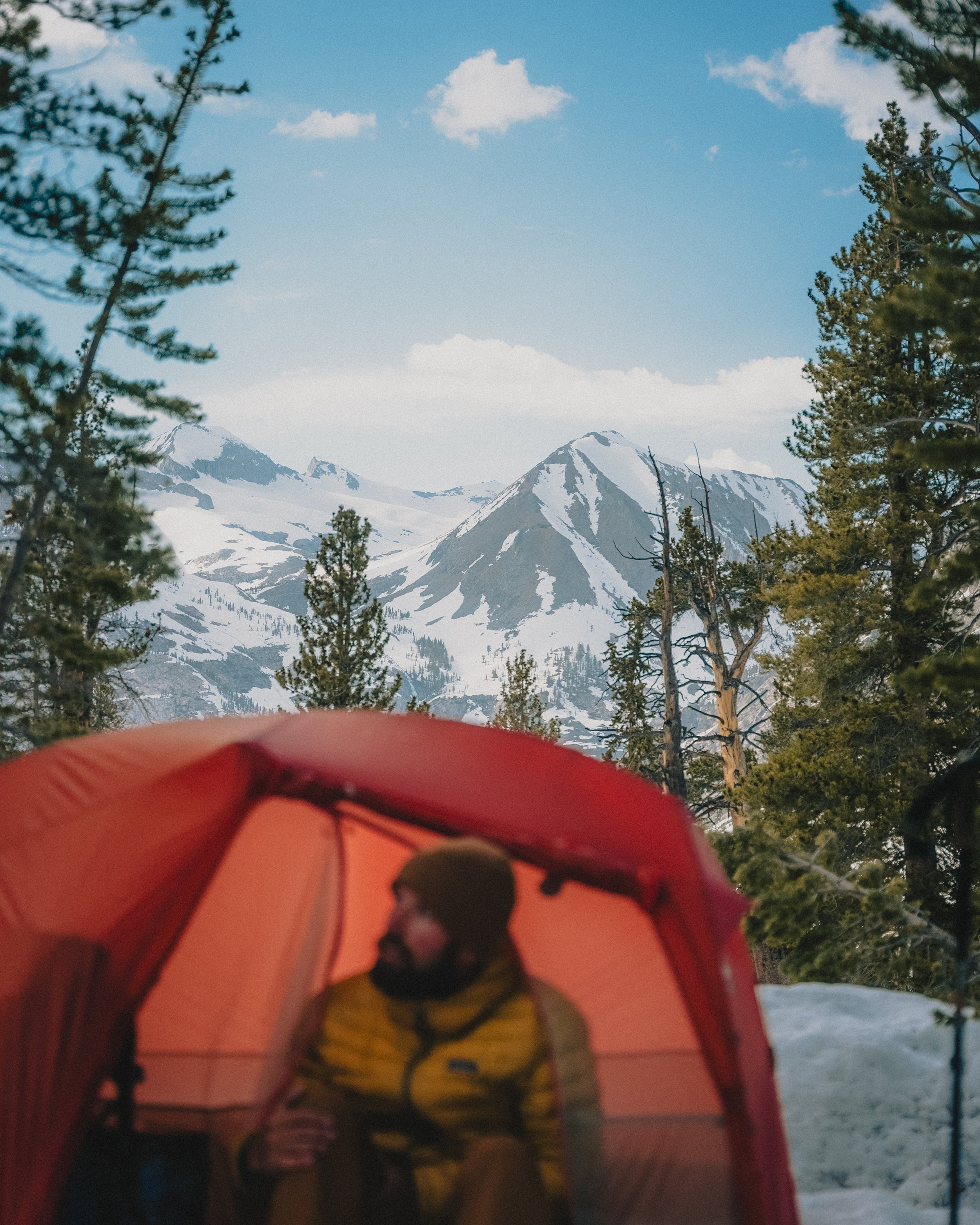 A man inside a red camping tent in a snowy forest, with snow-covered mountains and pine trees in the background, under a blue sky with clouds.