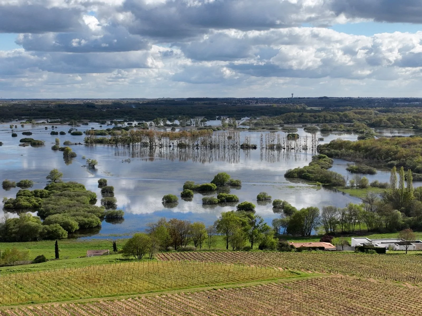 NaoDrone - Drone environnement zones humides marais de Goulaine 44 Loire-Atlantique