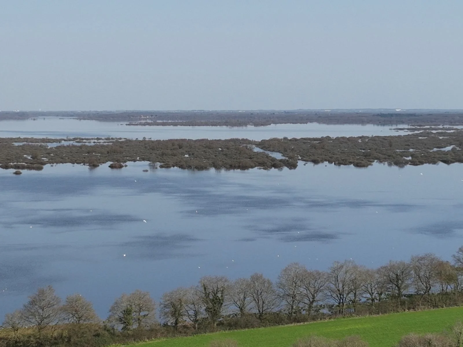 NaoDrone - Drone environnement zones humides lac de Grand-Lieu 44 Loire-Atlantique