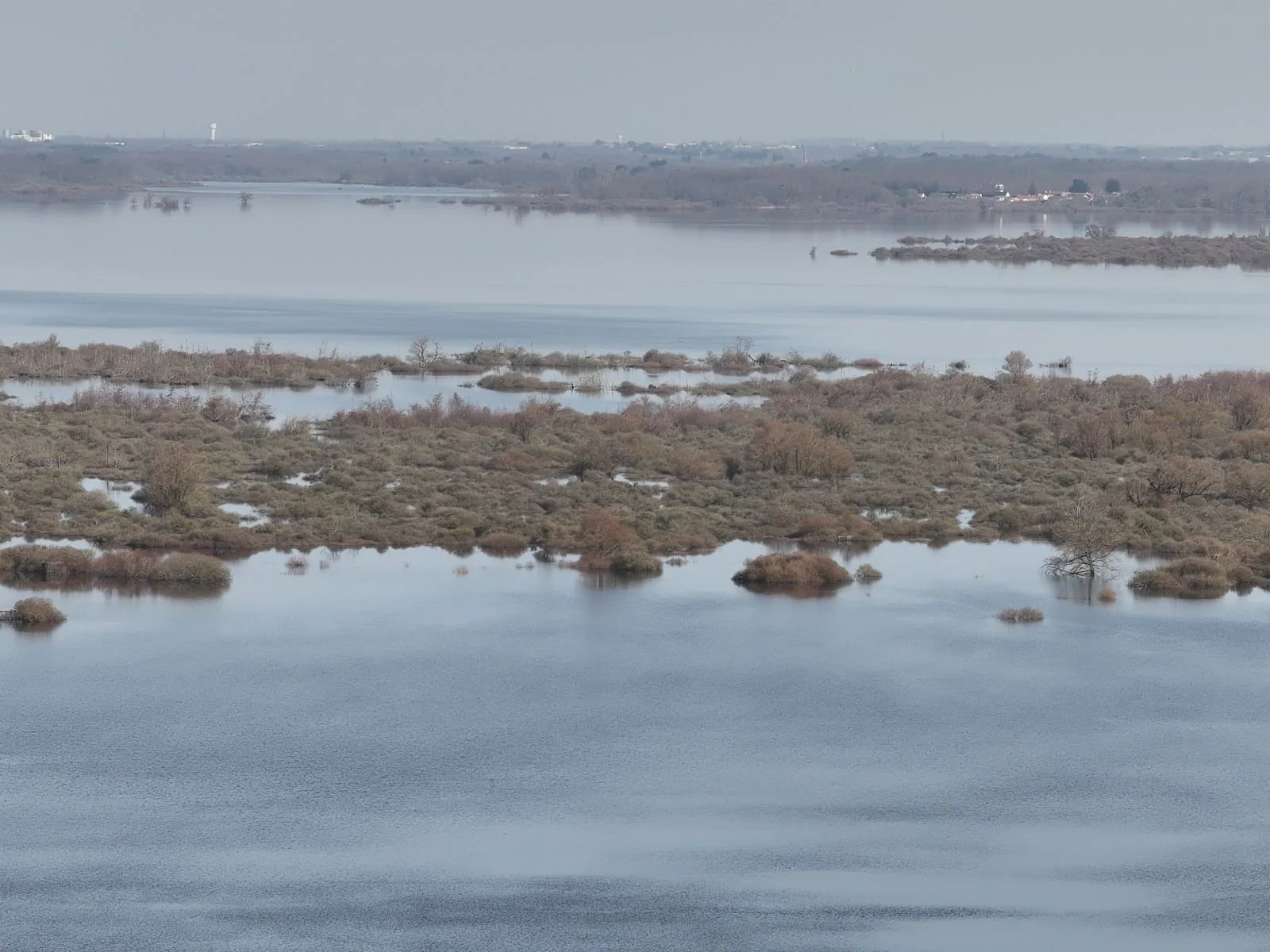 NaoDrone - Drone environnement zones humides lac de Grand-Lieu 44 Loire-Atlantique