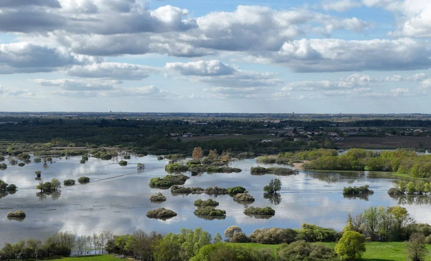 NaoDrone - Drone environnement zones humides marais de Goulaine 44 Loire-Atlantique