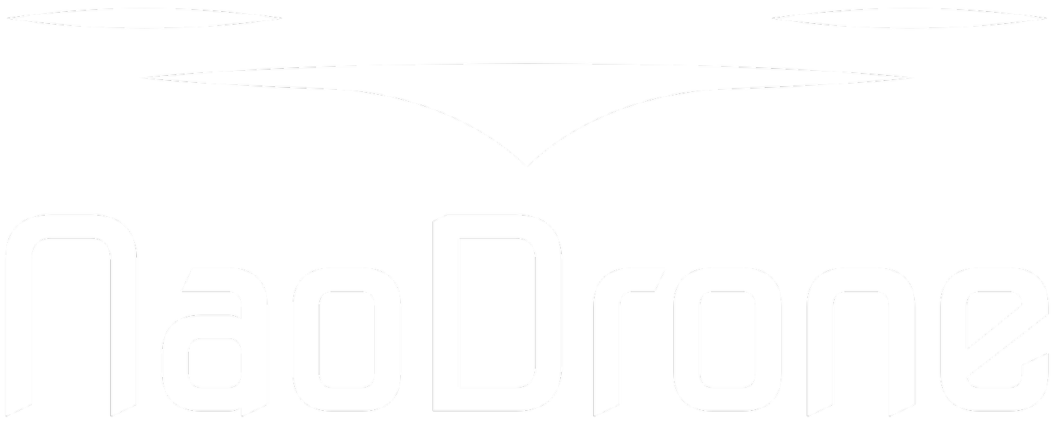 NaoDrone