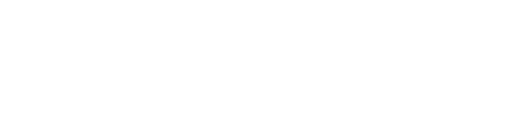 NaoDrone - Titre principal
