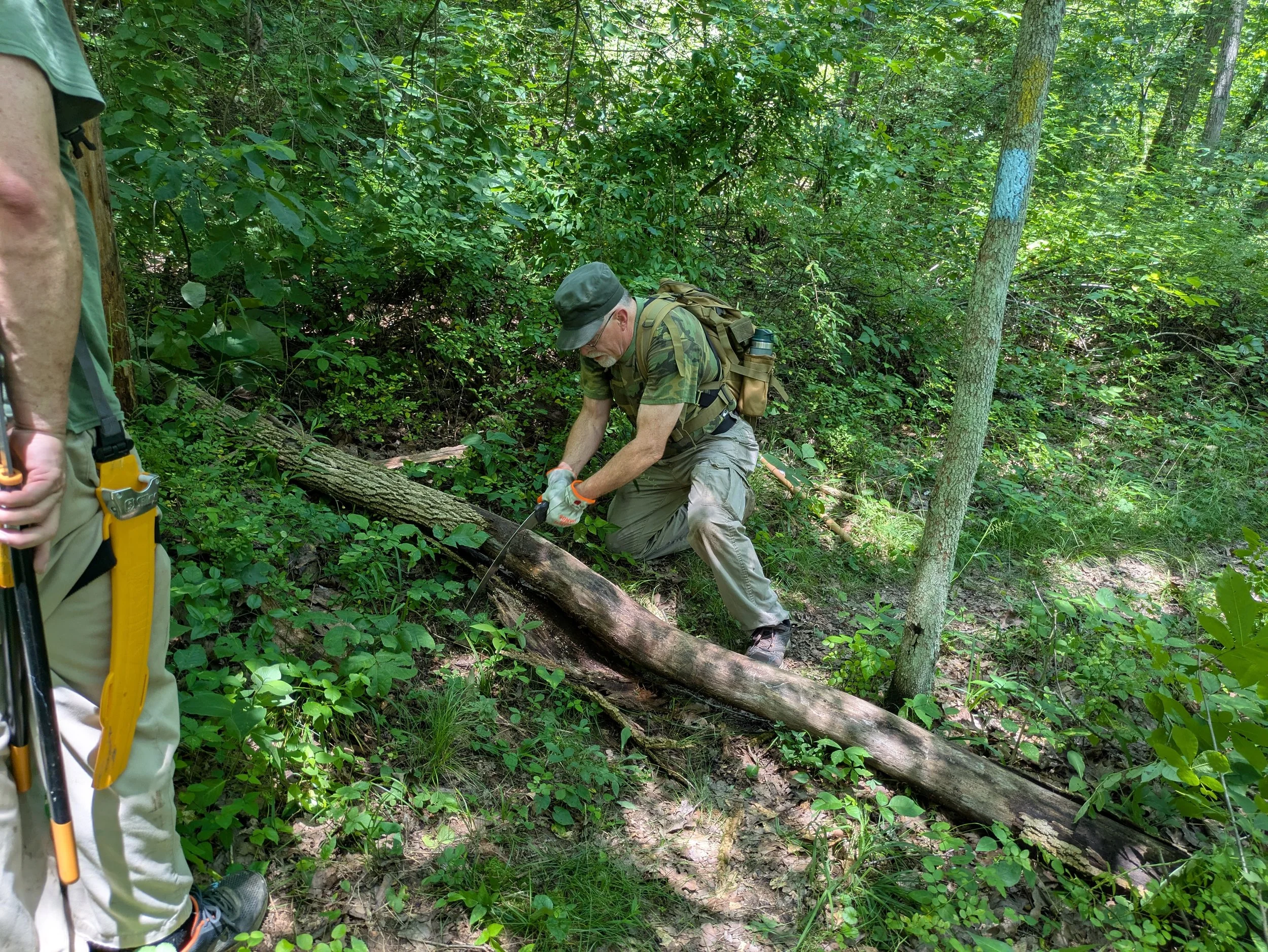 A person in camouflage clothing, kneeling in a forest, cutting a fallen tree with a saw. Another person is partially visible on the left side, standing with outdoor tools hanging from their belt. The forest is lush with greenery.