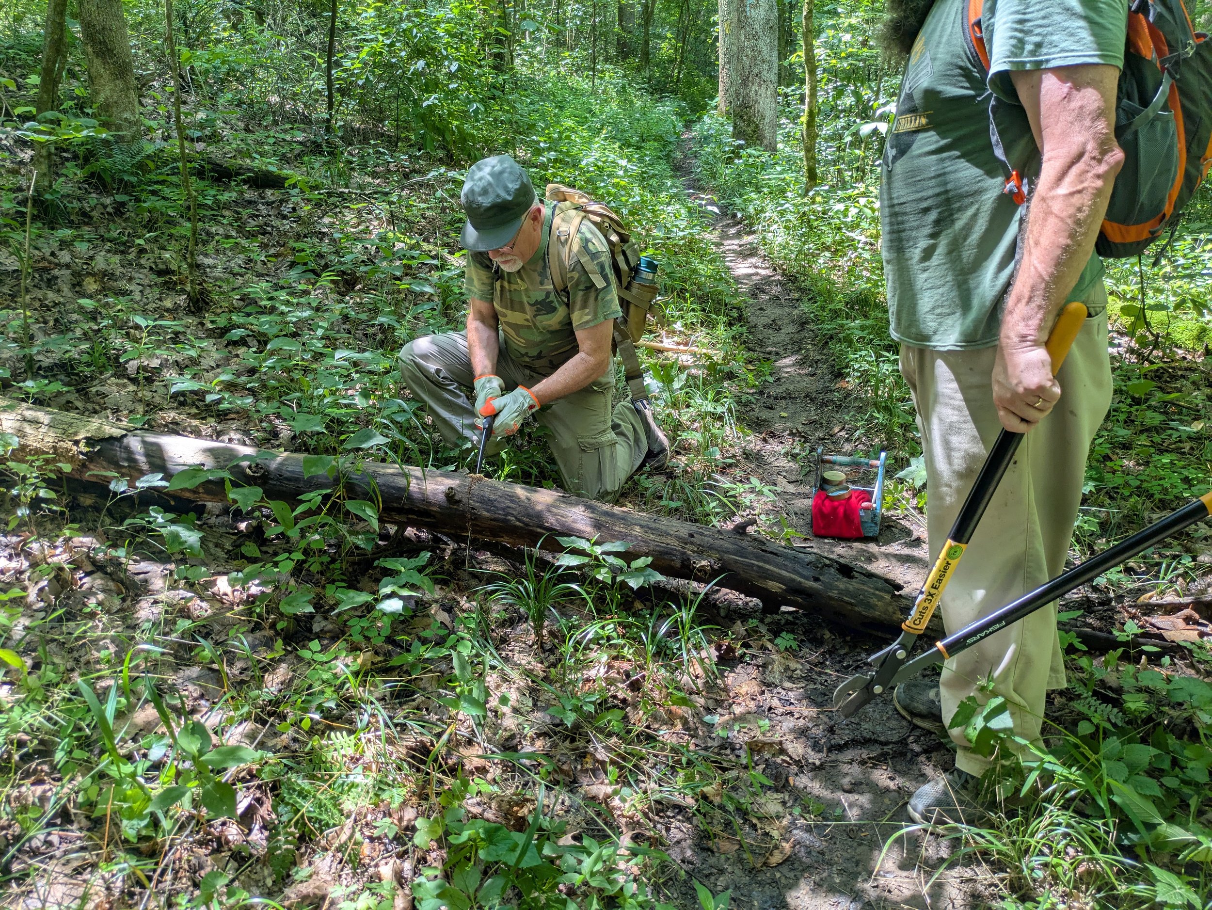 Two men working in a forest; one kneeling and inspecting a fallen log, the other standing with pruning shears. Both are dressed in casual outdoor attire, carrying backpacks, and surrounded by dense greenery.