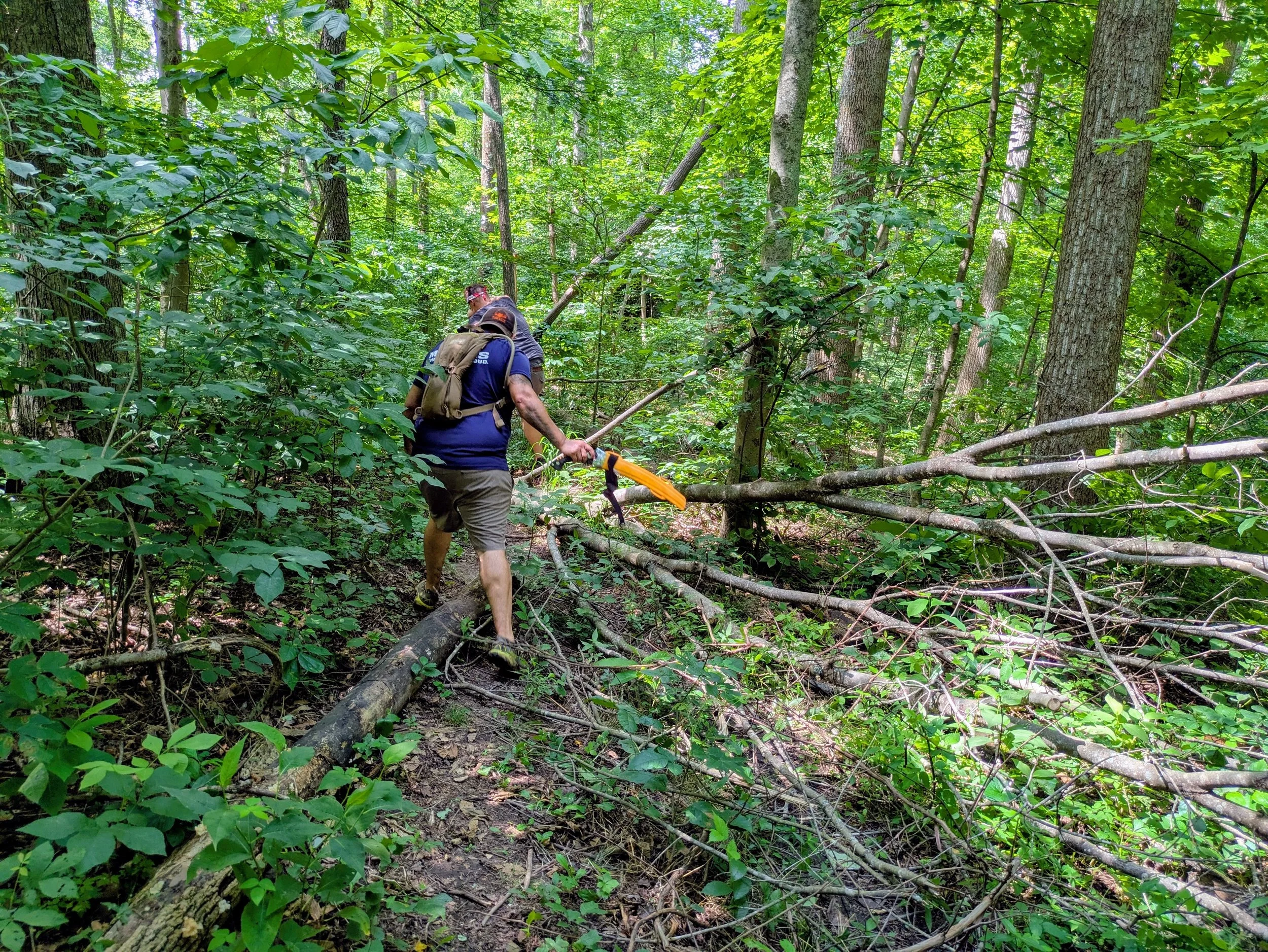Two people hiking through a dense forest with green foliage, walking on a trail marked by fallen tree branches.