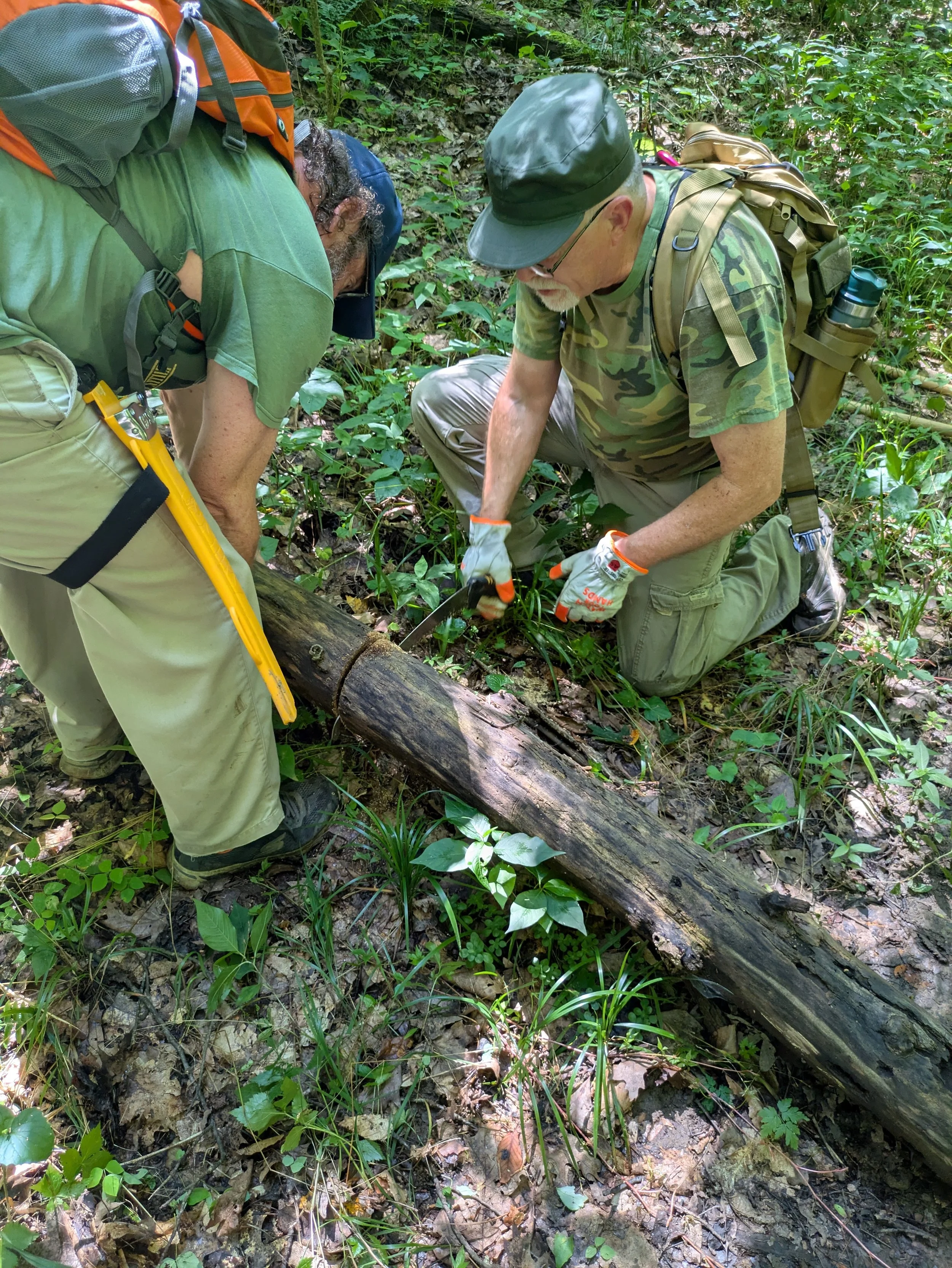Two men kneeling on the ground in a forest, examining and working on a fallen log with a handsaw. They are wearing outdoor gear, backpacks, and gloves.
