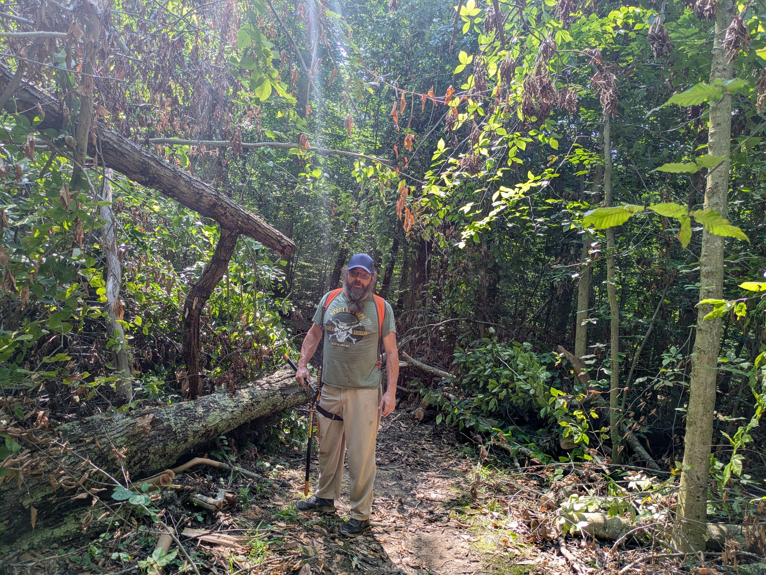 A man with a beard, wearing a gray cap, glasses, a green T-shirt, and beige pants, standing on a forest trail next to a fallen tree. He has an orange backpack and is holding a walking stick. The forest is dense with tall trees, green leaves, and sunl