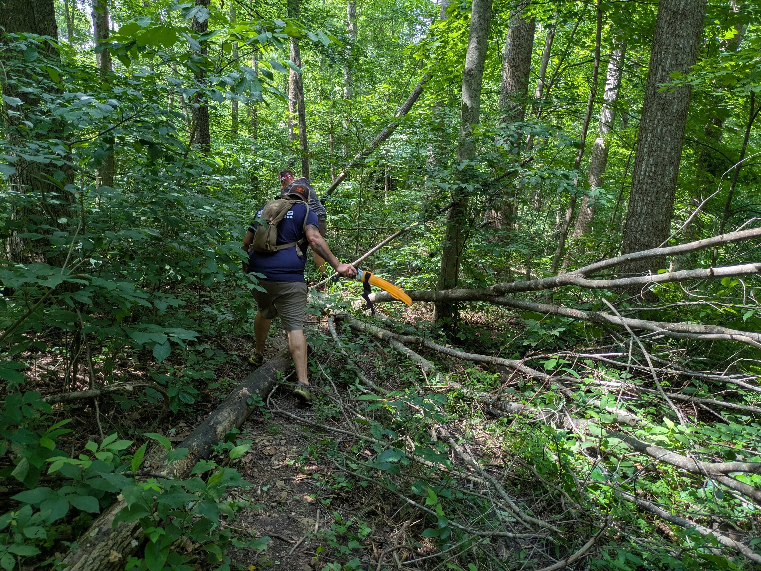 Two men cutting a fallen tree across a forest trail in a dense, green wooded area.
