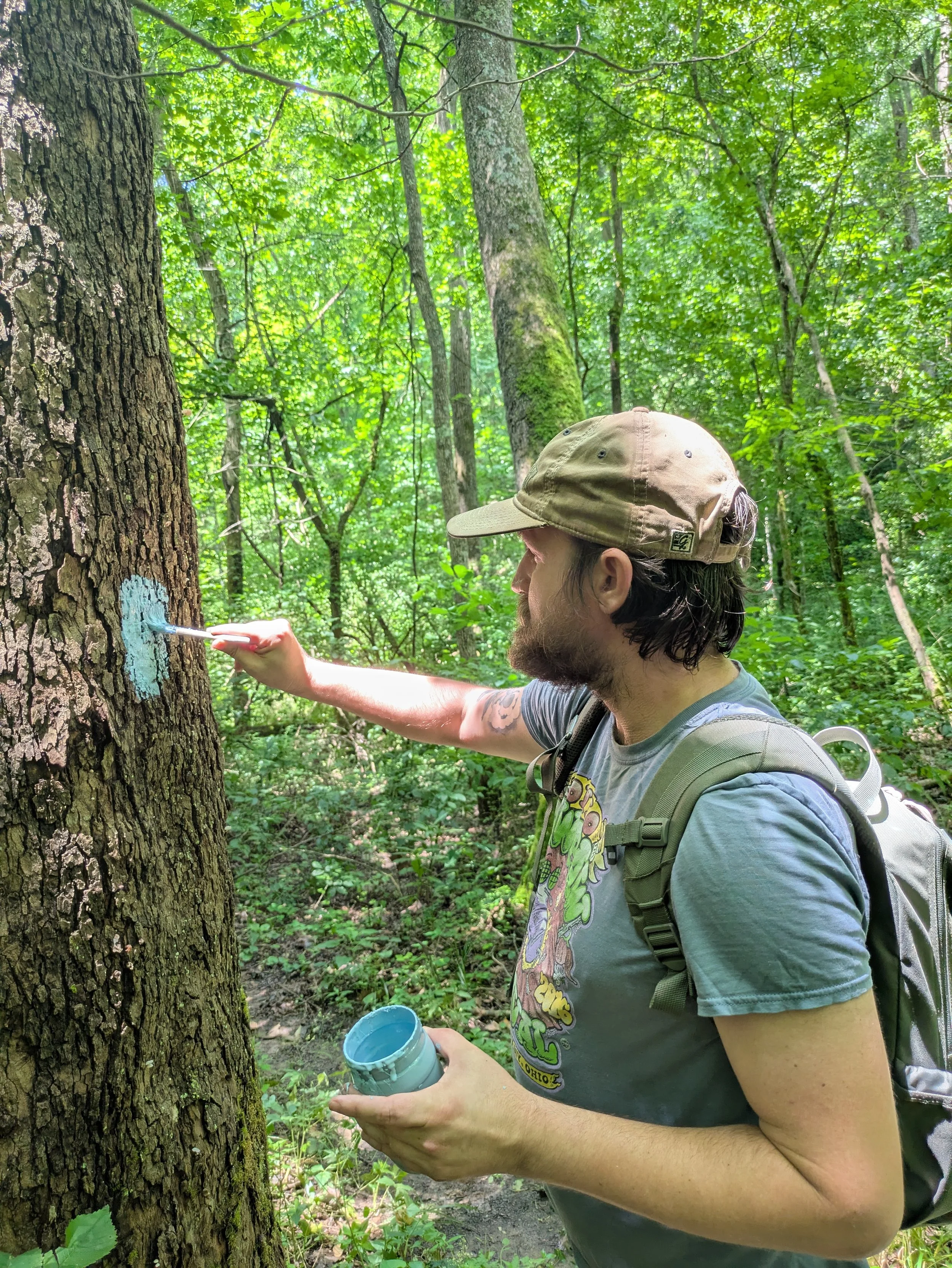 A man with a beard wearing a cap, t-shirt with cartoon characters, and a backpack is painting a blue circle on a tree trunk in a lush green forest.