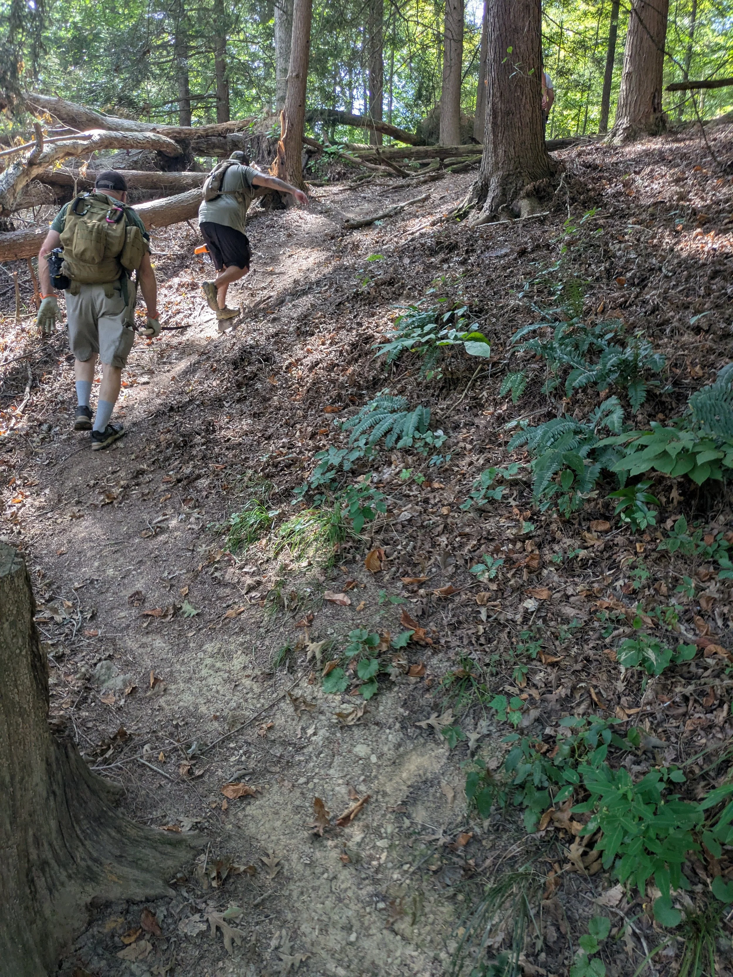 Two hikers wearing backpacks and hats walking up a dirt trail through a forest with trees and green foliage.