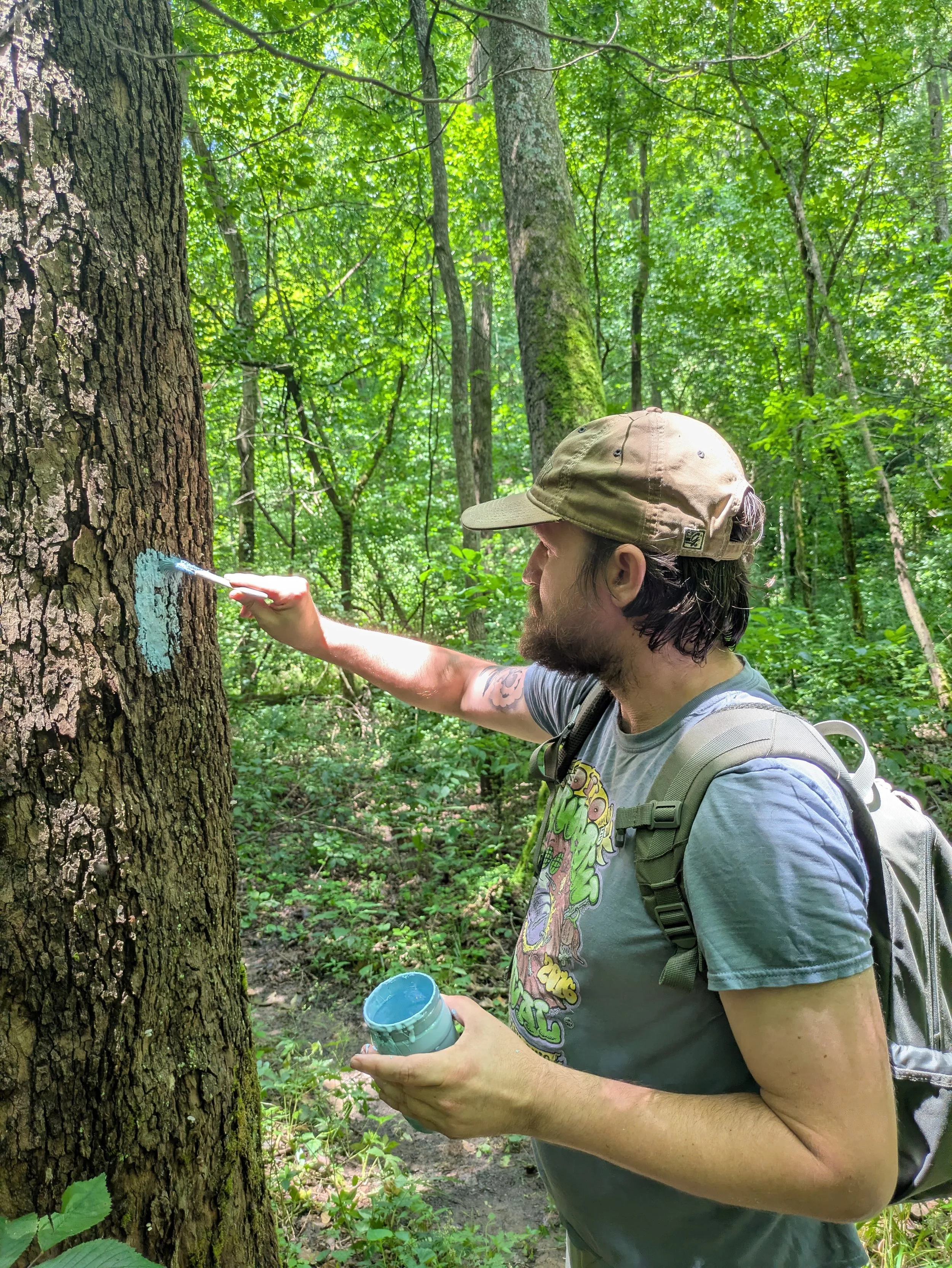 A man painting a tree trunk with blue paint in a lush green forest.