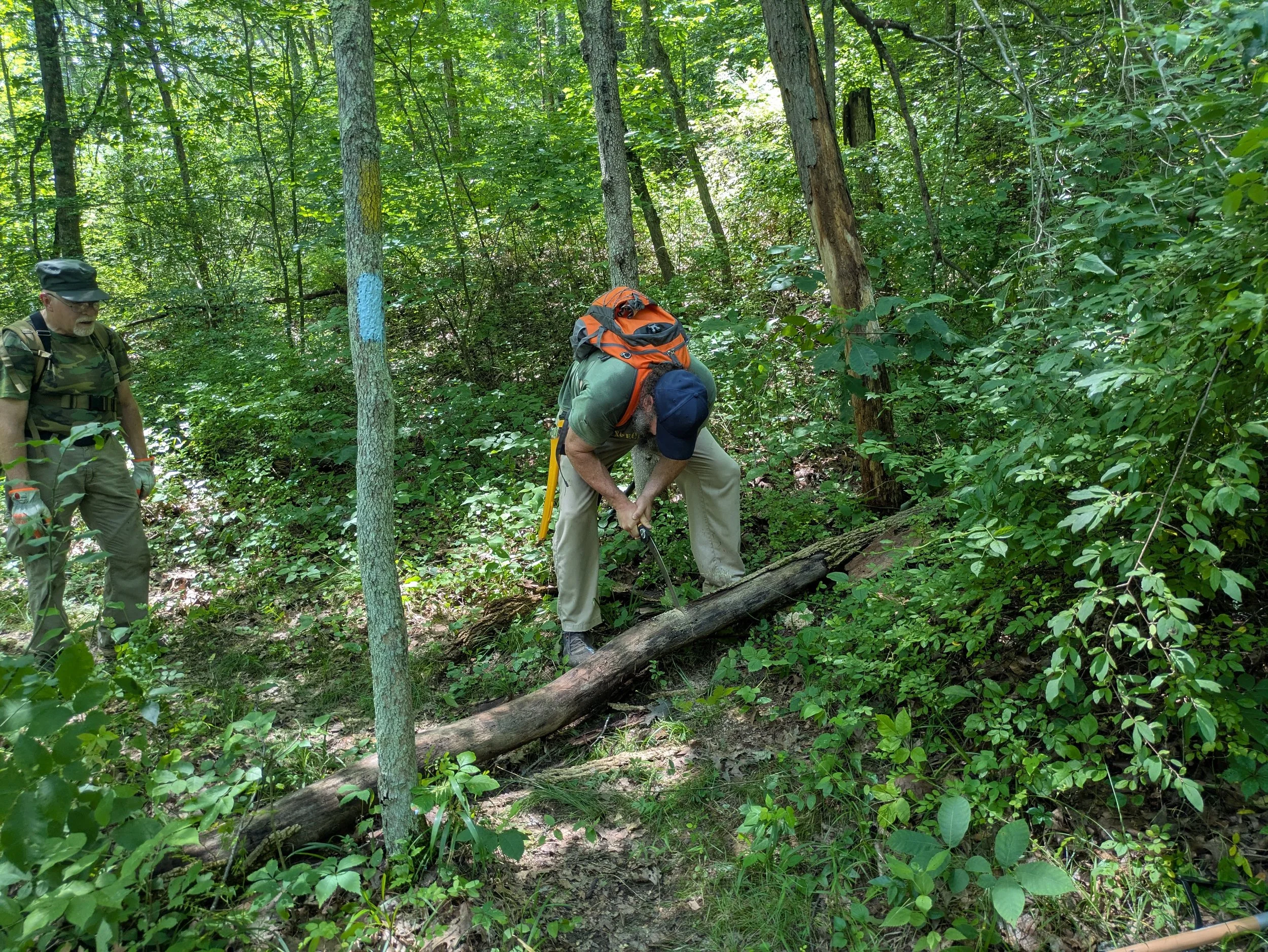 Two men in a forest, one chopping a fallen tree with an axe, the other watching, surrounded by dense green foliage and trees.