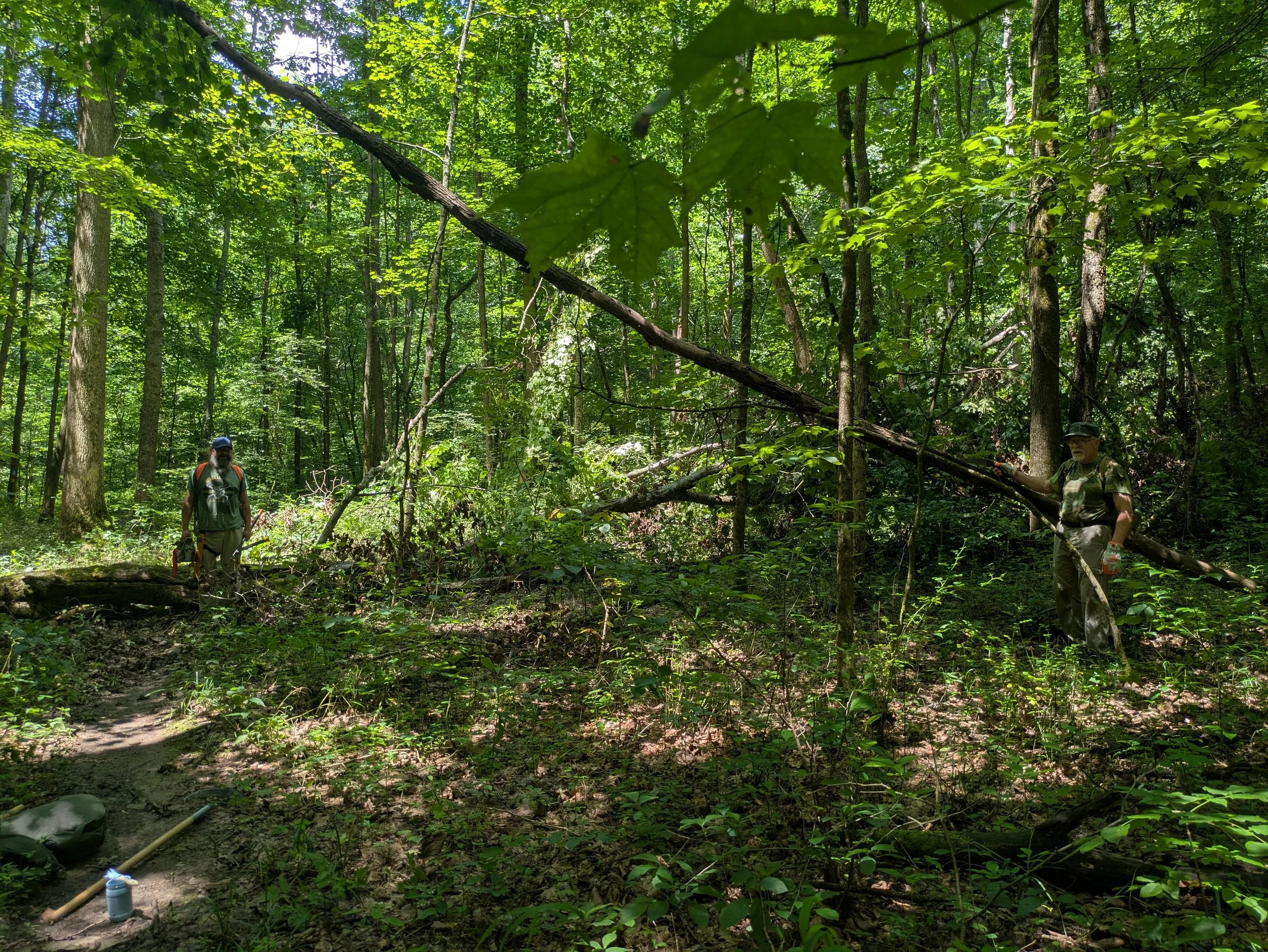 Two people in camouflage clothing and hats in a dense green forest, one on the left and one on the right, holding a fallen tree branch, with a path and some equipment on the ground.