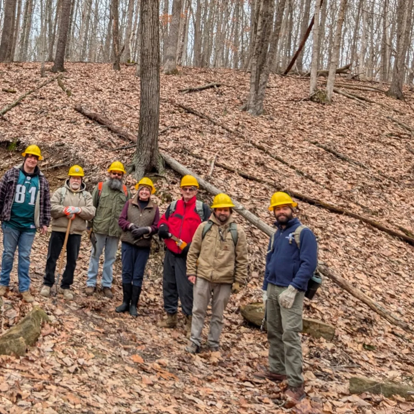 Group of seven people in a forest with yellow safety helmets, standing on a leaf-covered ground, some holding tools, with trees and fallen branches in the background.
