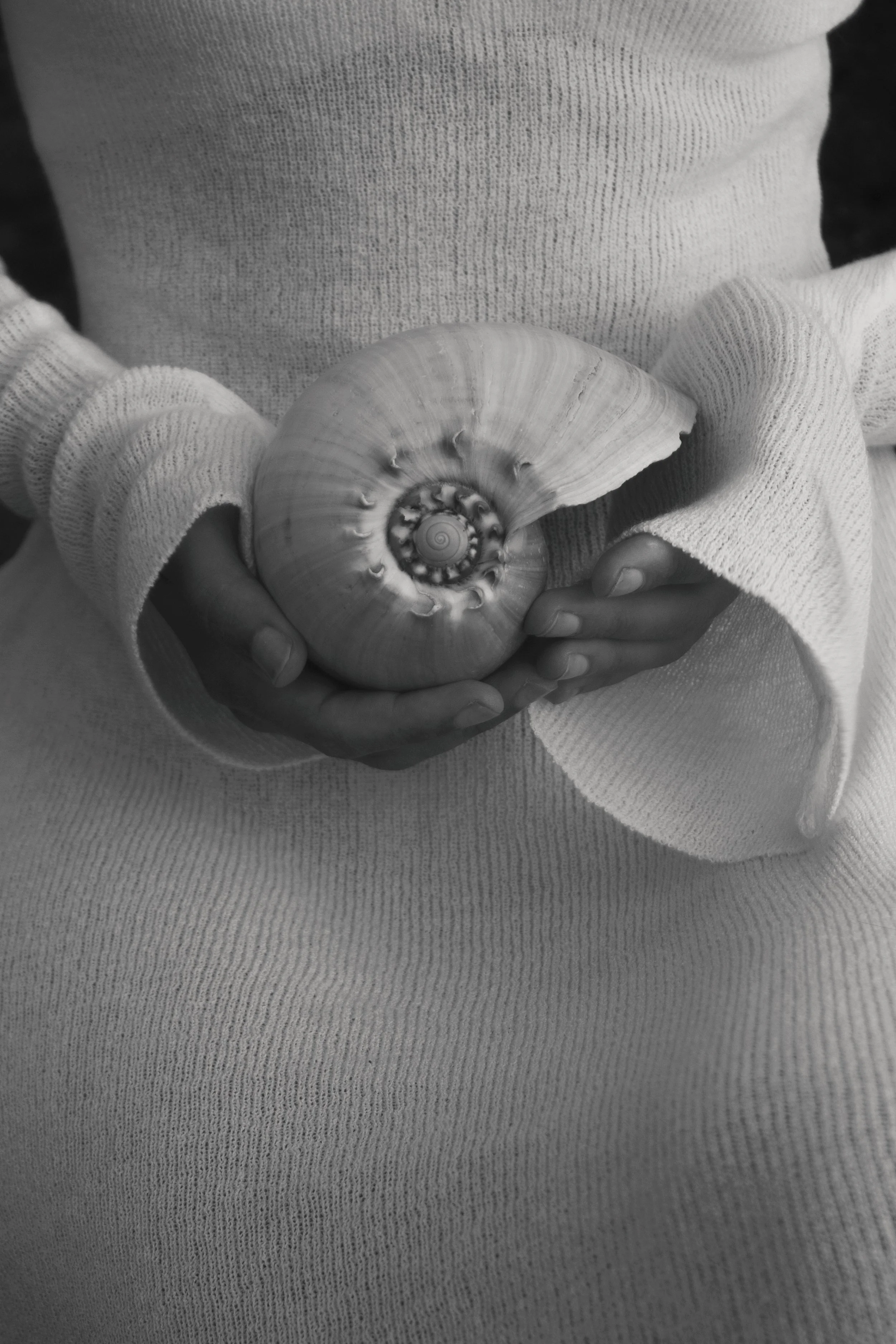 A person wearing a light-colored, textured sweater holding a seashell, with hands gently cradling it.