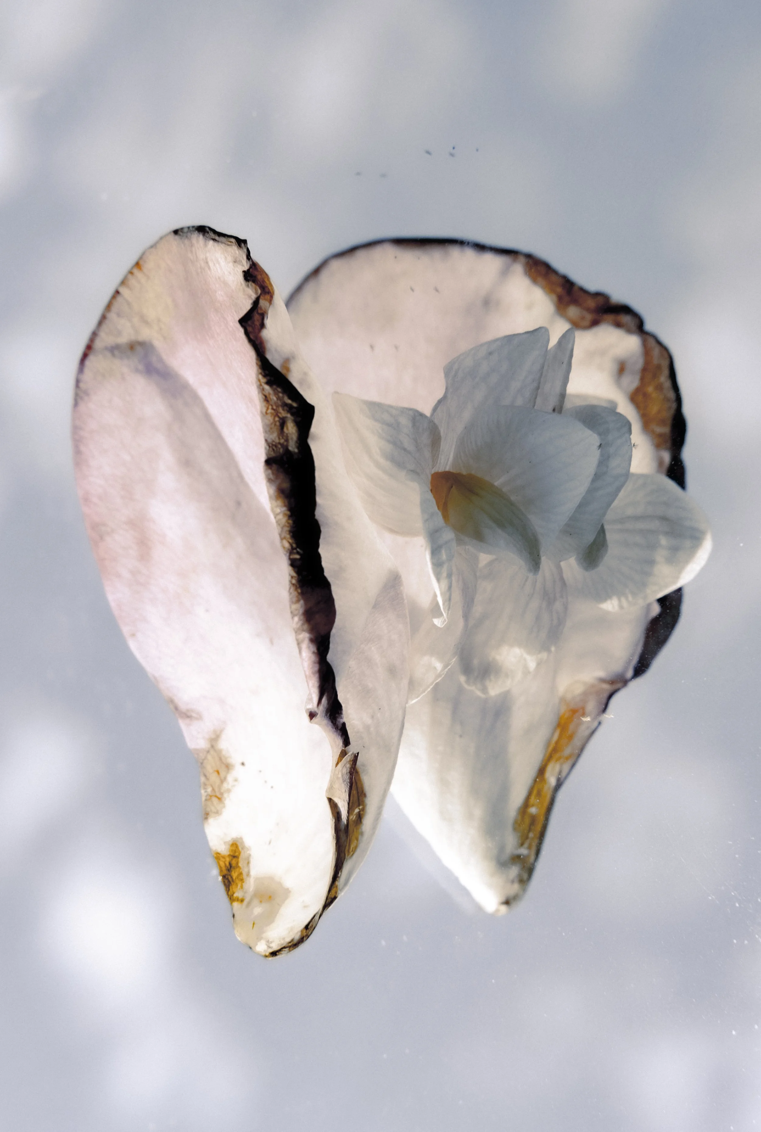 DSCF5541.jpg