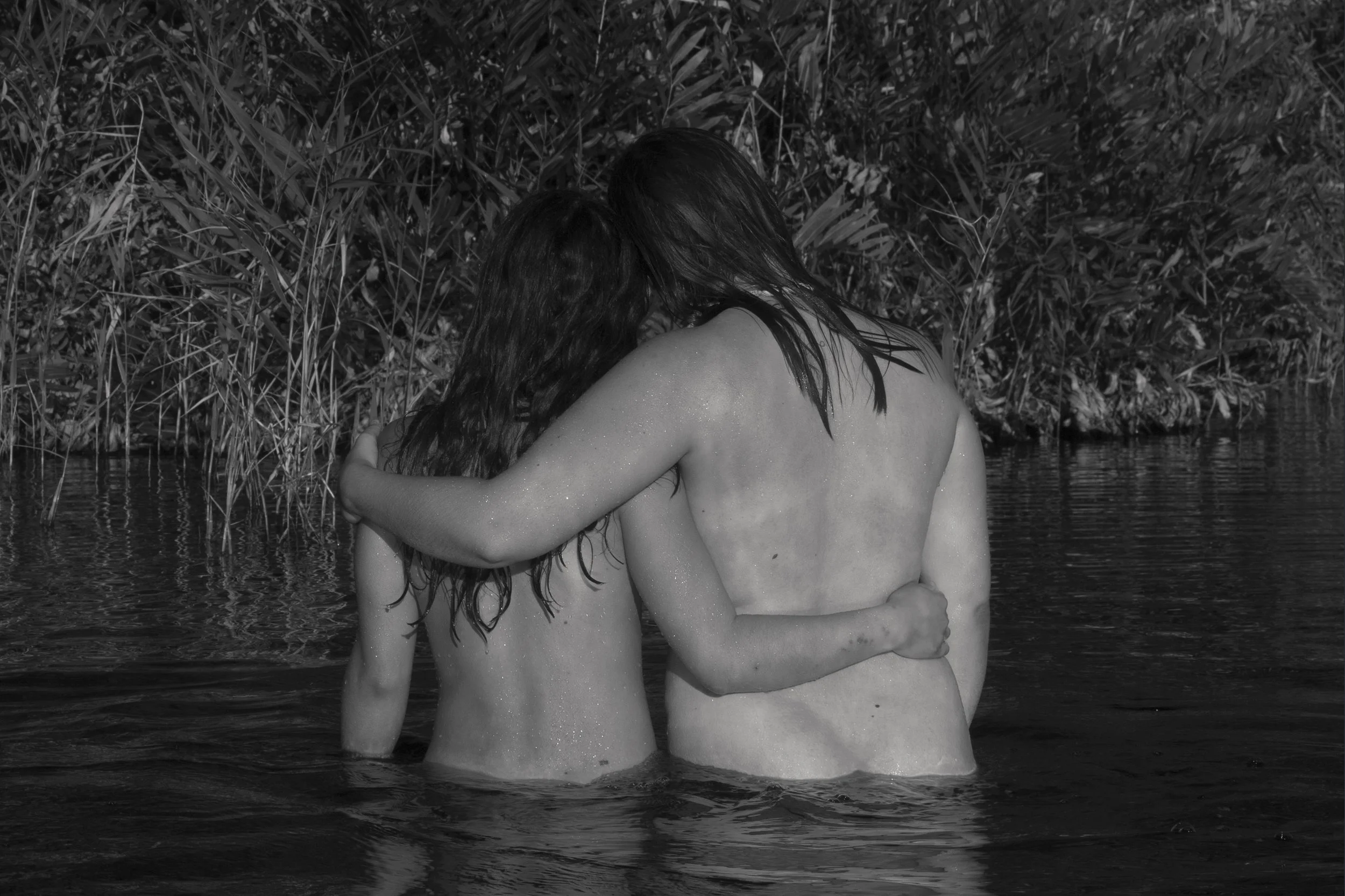 pond no resample.jpg