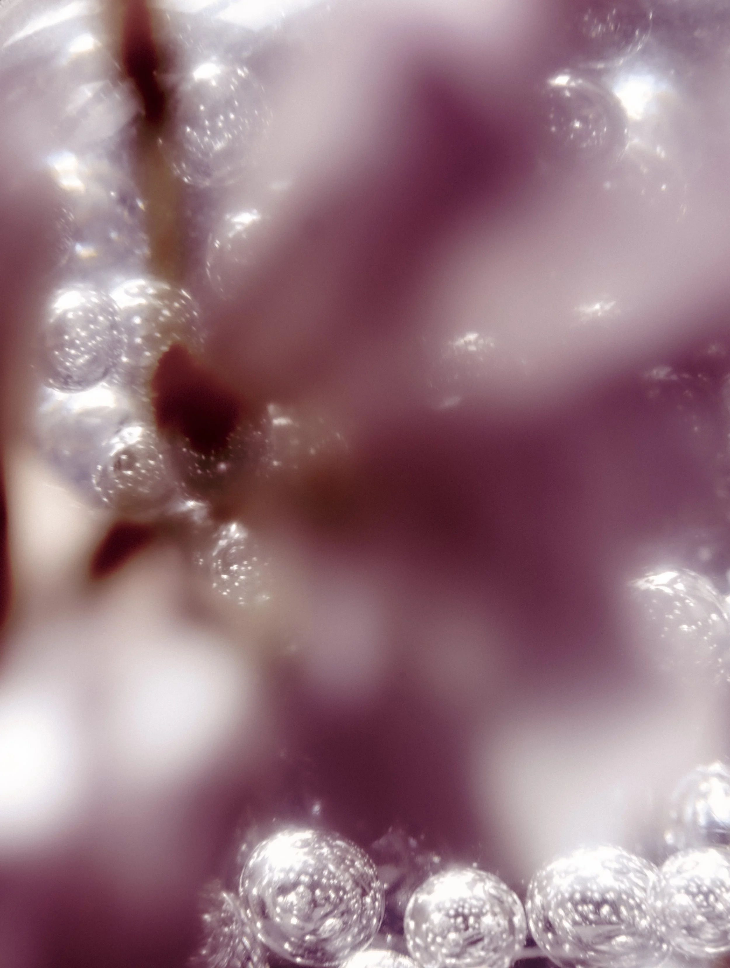 DSCF5504.jpg