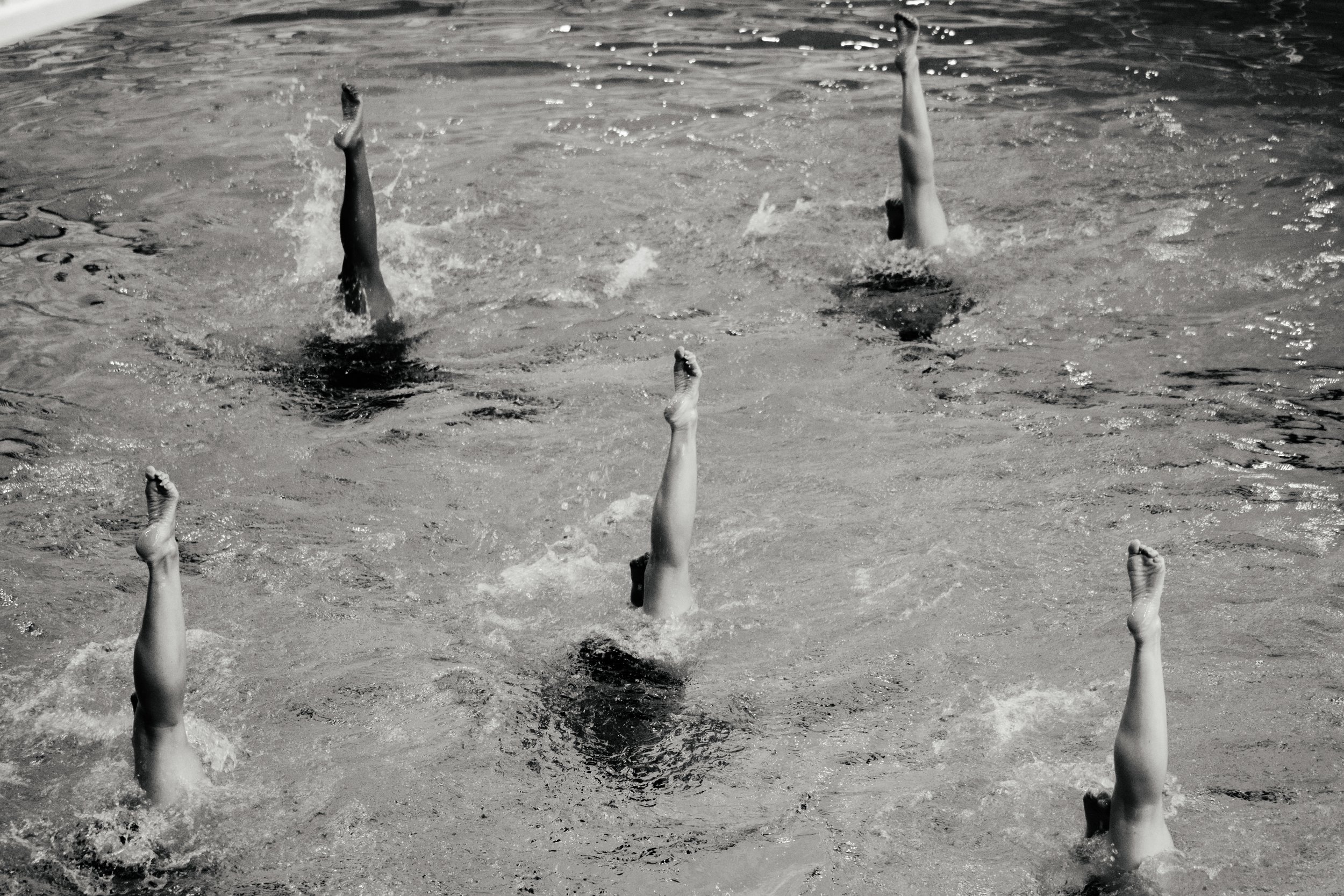 DSCF2065.jpg
