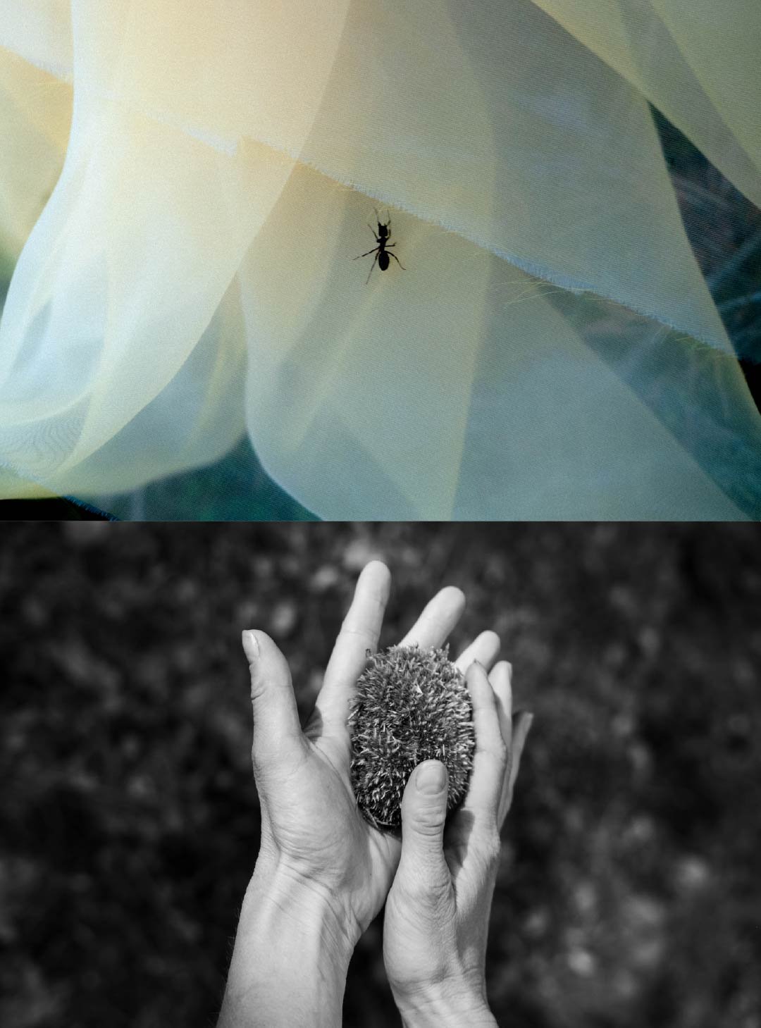 Untitled-2.jpg