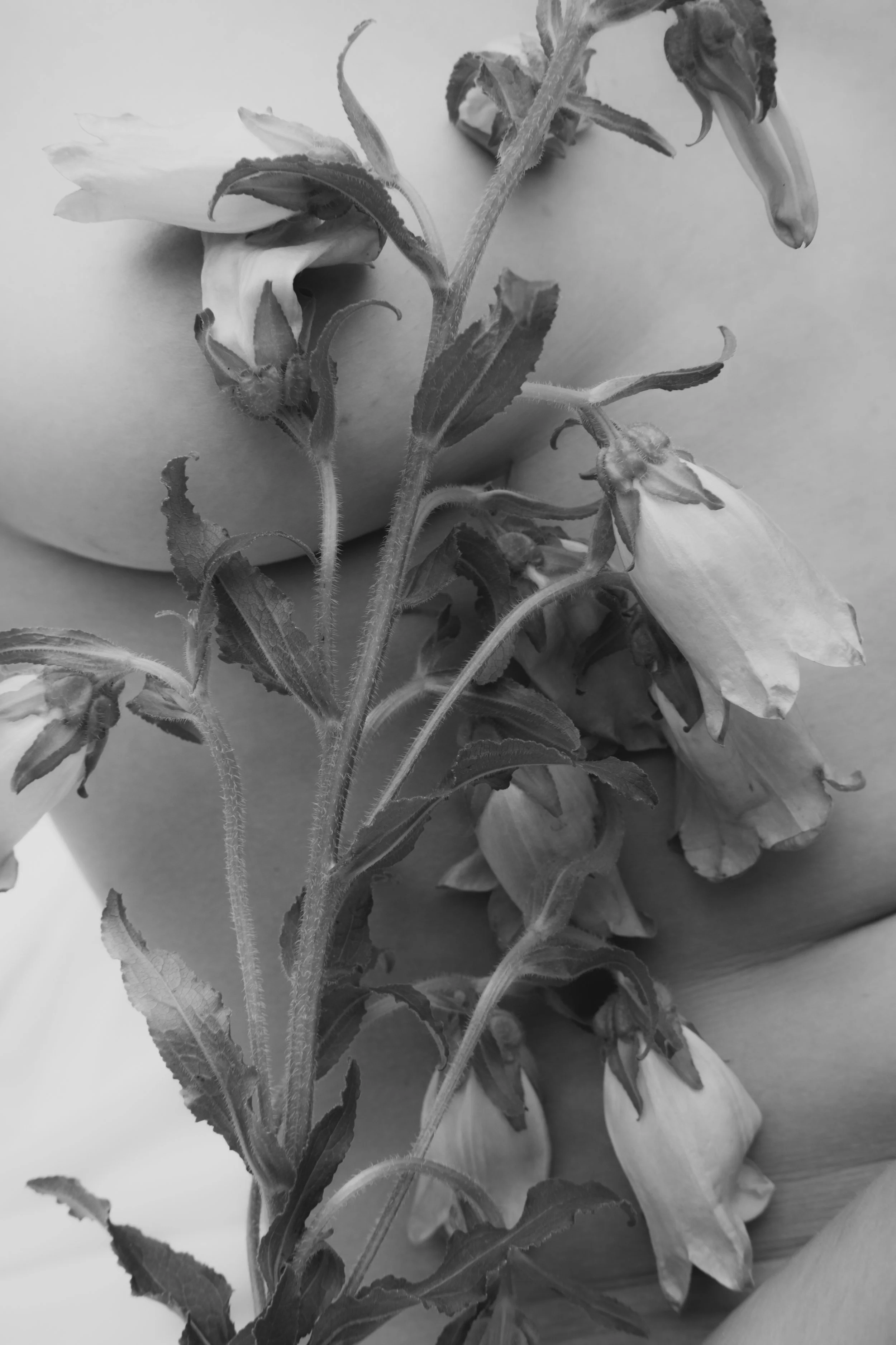DSCF8179.jpg