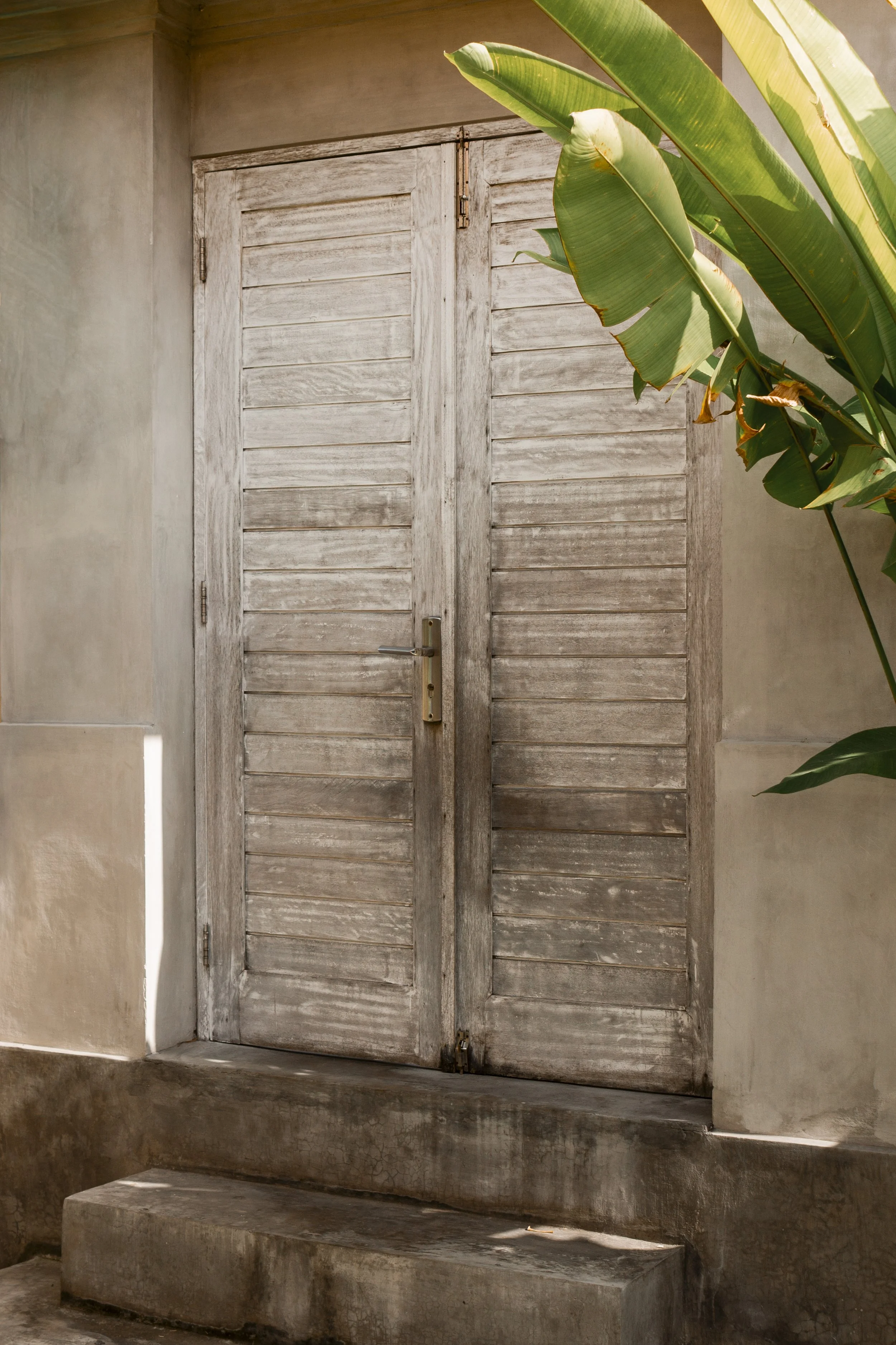 A weathered white wooden door with a metal handle, set in a concrete wall with a large green plant partially blocking the right side of the door.