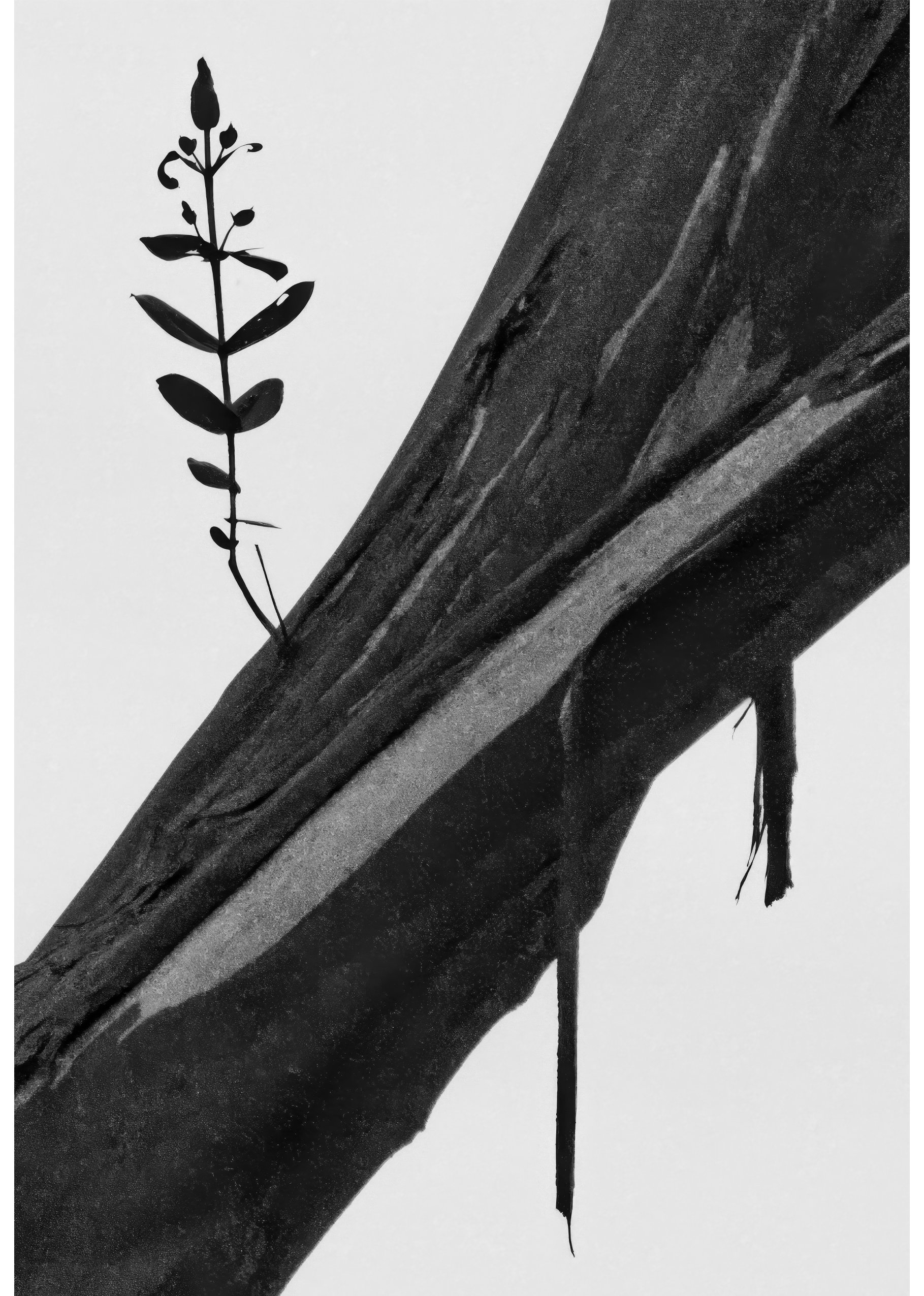 A black and white photograph showing a close-up of a piece of wood with a small branch of leaves growing from it.