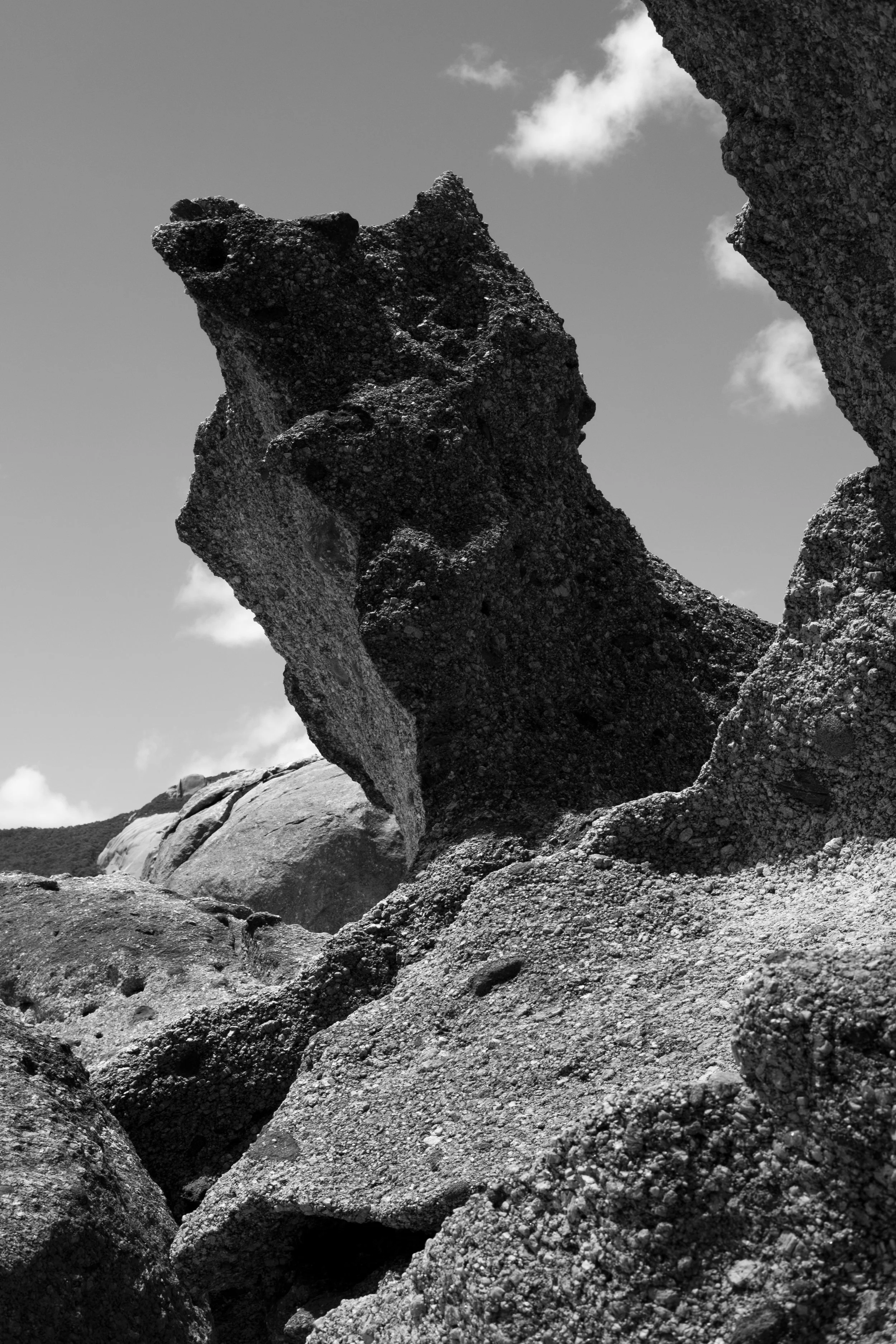 DSCF9110.jpg