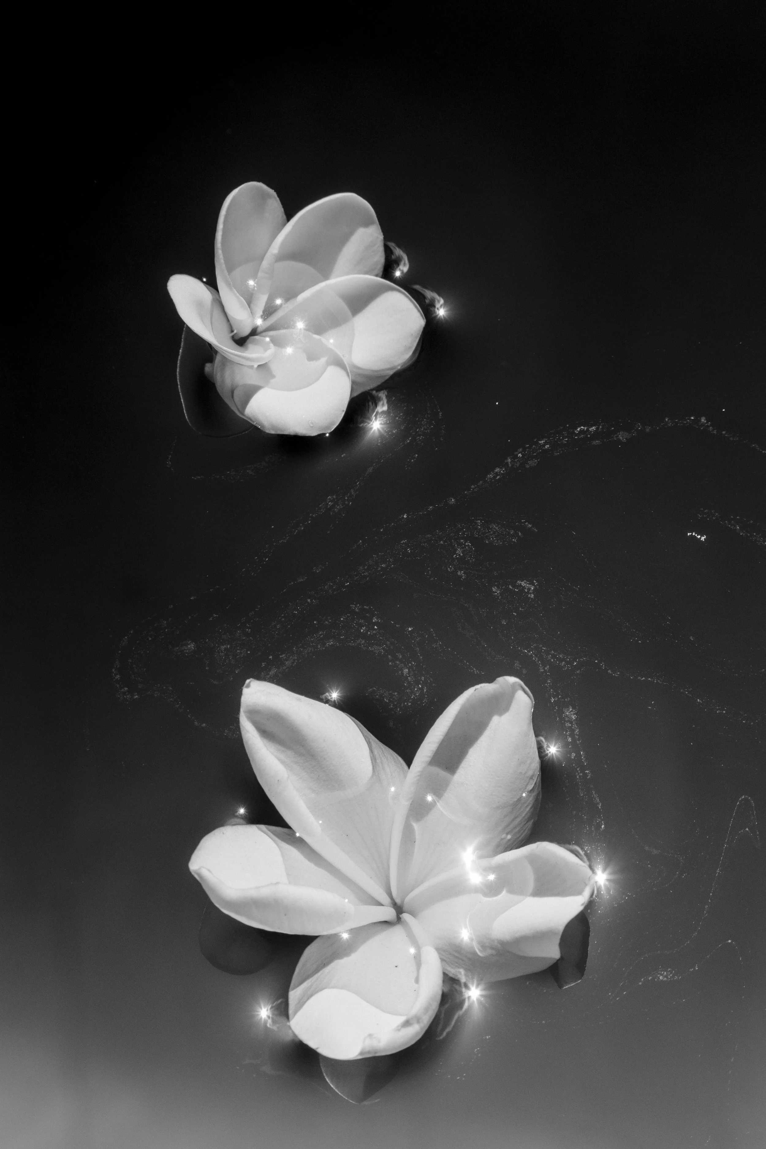 _MG_5008.jpg