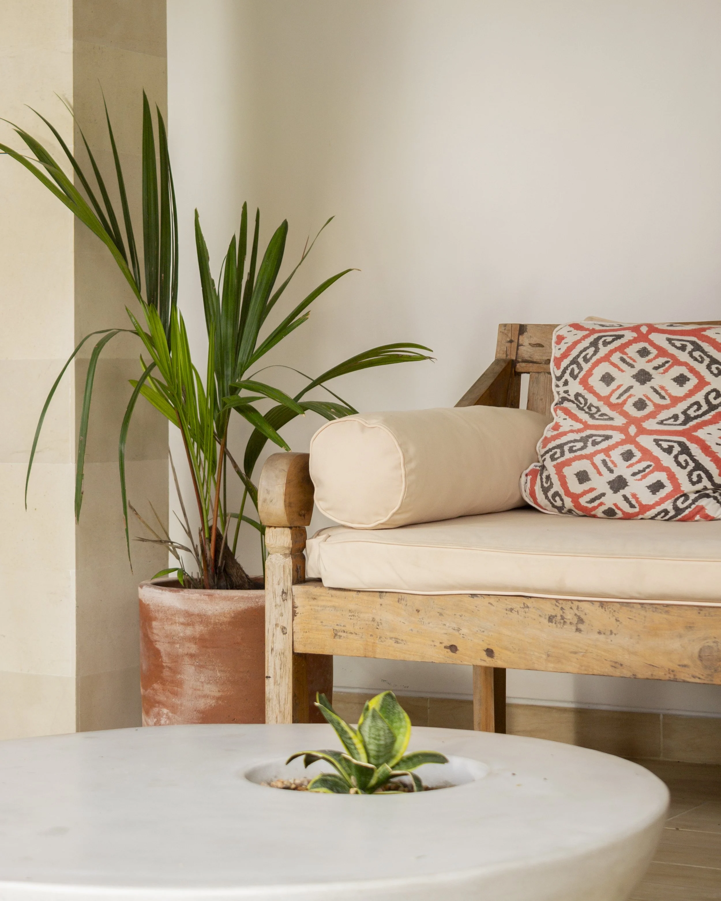 A cozy living room corner featuring a wooden bench with a decorative pillow, a tall green plant in a terracotta pot, and a small potted snake plant on a white table in the foreground.