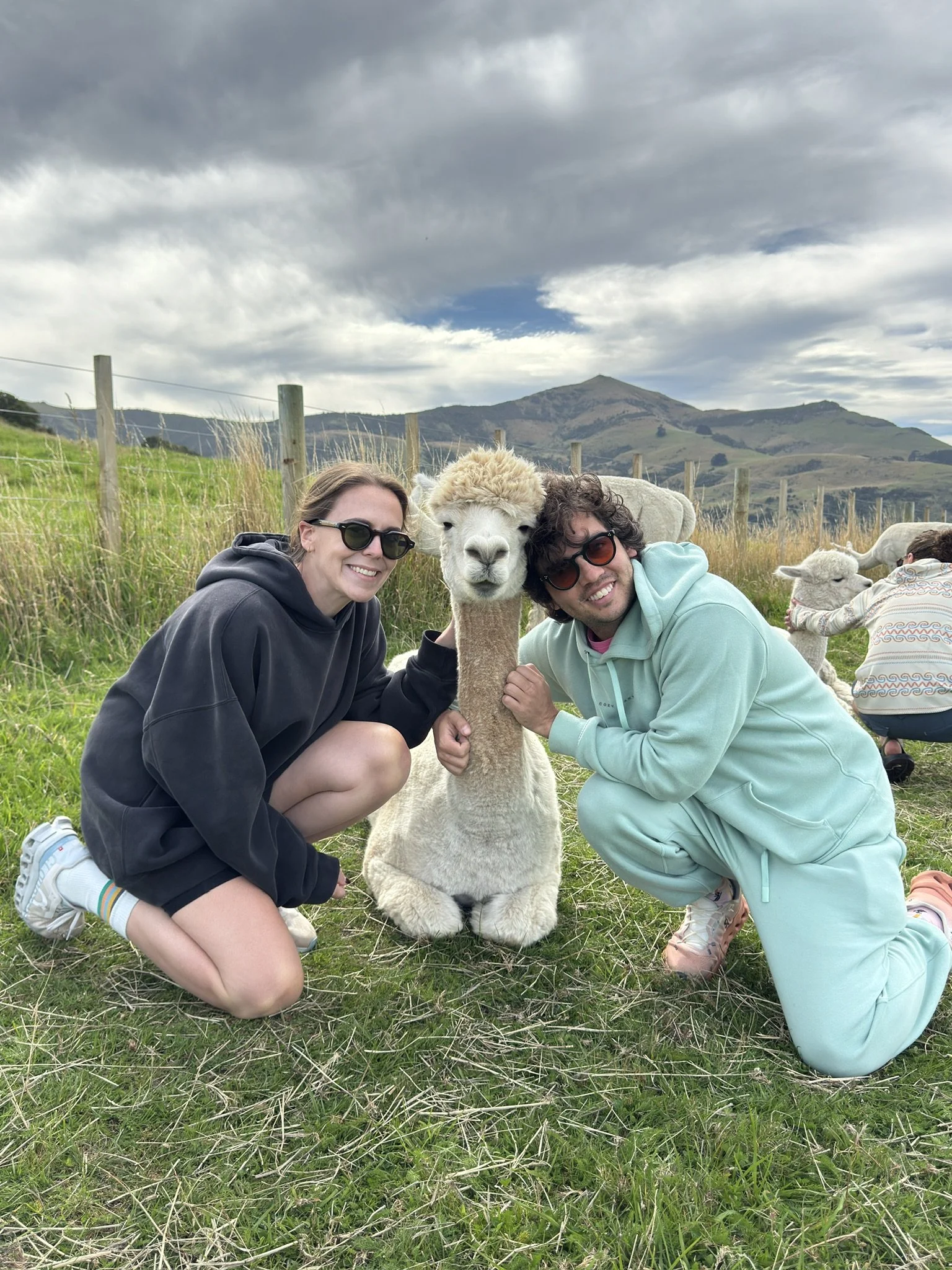 5E038333-C666-4FE0-9077-58B510B2F017_1_102_o.jpeg