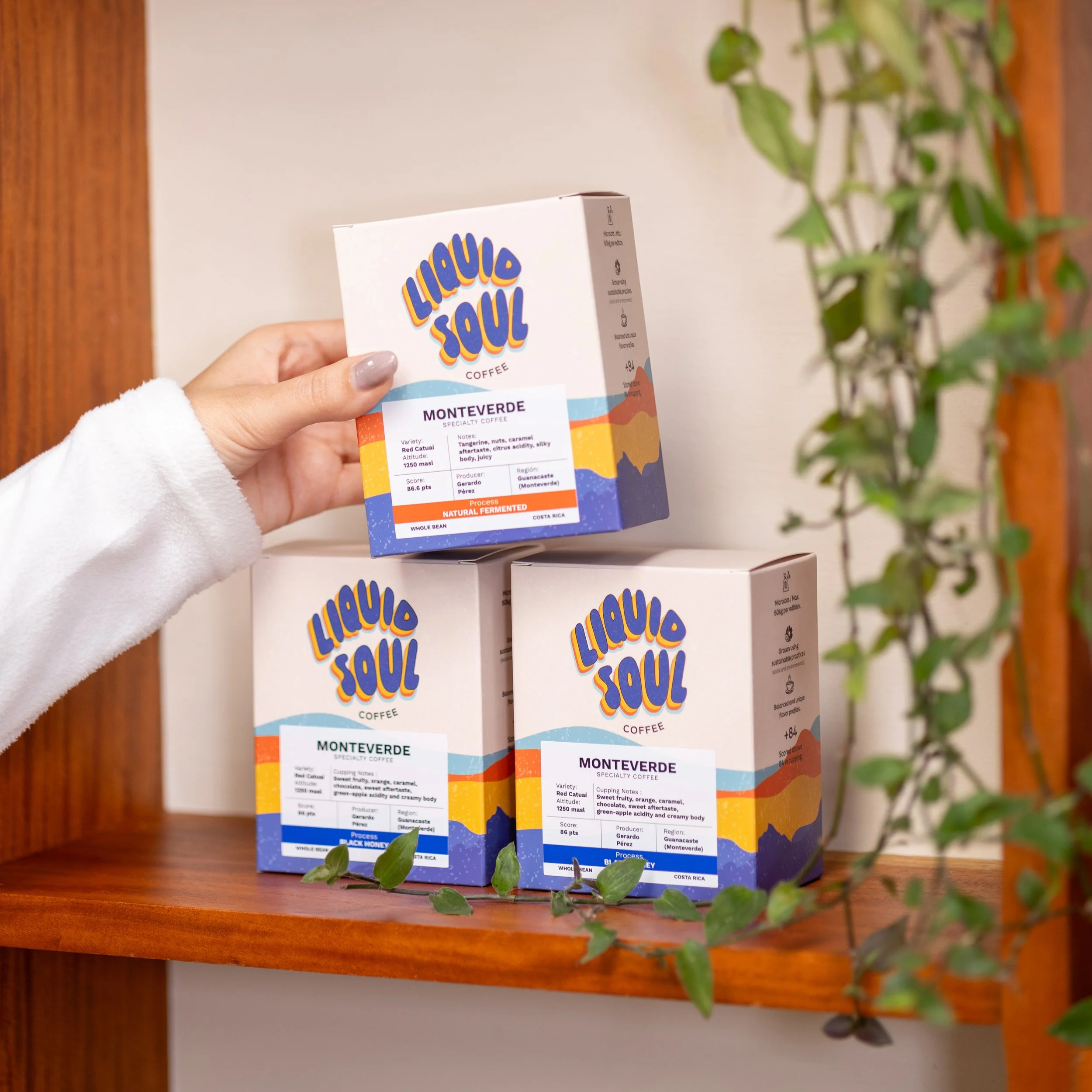 Tres cajas de café llamativas en una repisa de madera, con una mano sosteniendo una de ellas. Las cajas tienen un diseño colorido con el logo "Líquido Soul" y el nombre "Monteverde". Hay una planta de hojas verdes al lado, decorando el fondo.