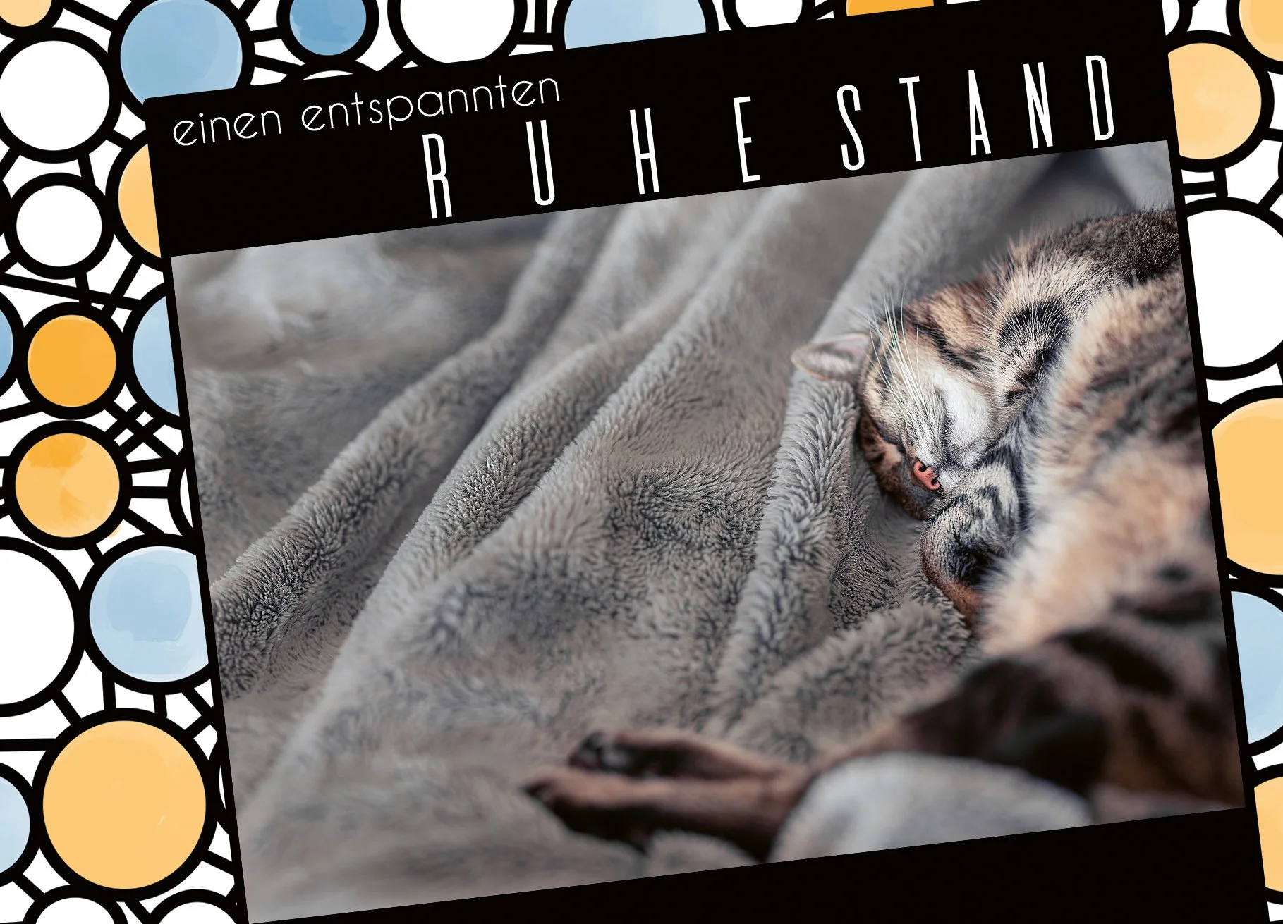 17 A_sonstiges_einen entspannten ruhestand_kater_vorderseite Kopie.jpg