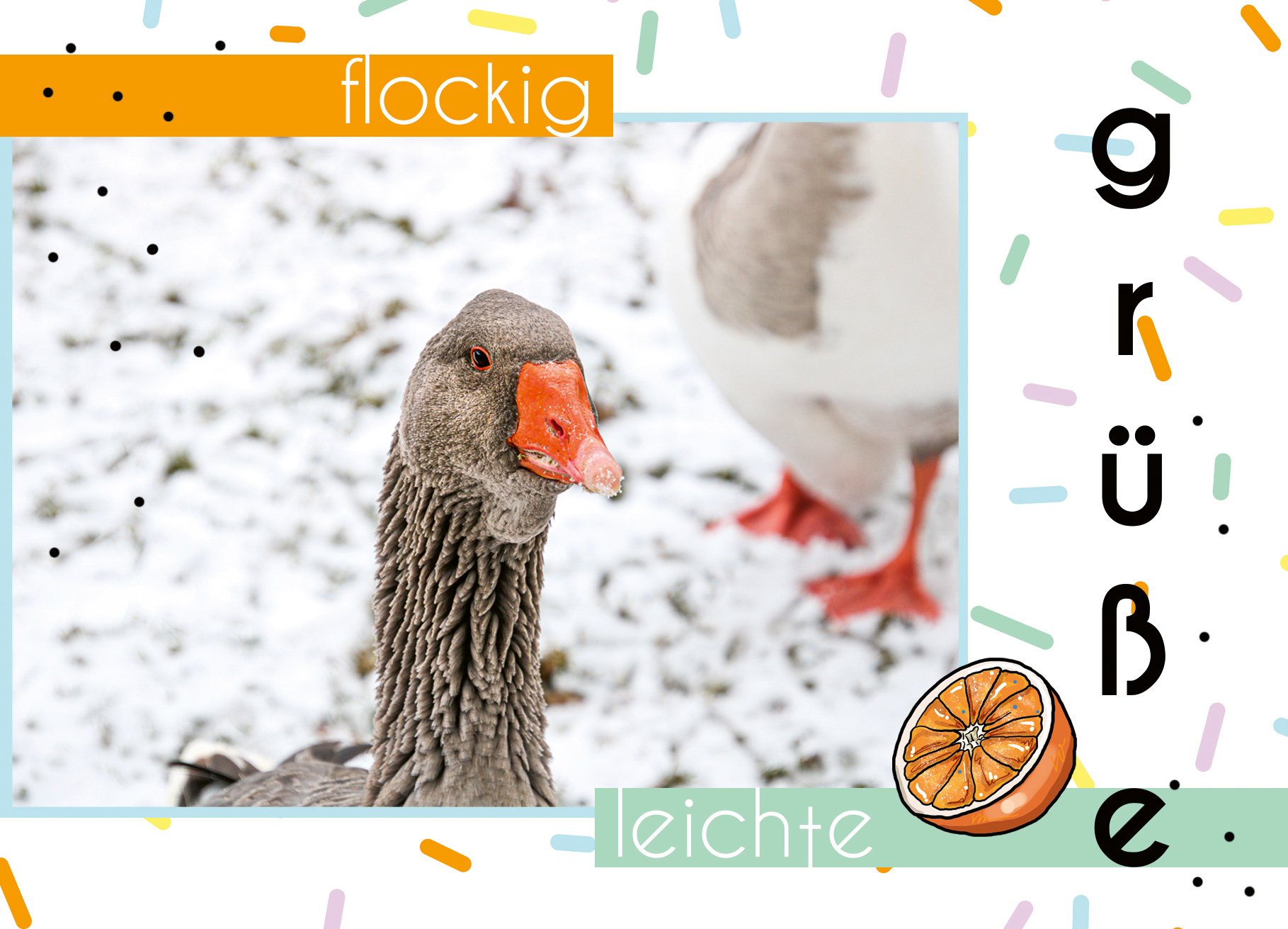 30 A_grüße_flockig leichte grüße_gans_vorderseite Kopie.jpg