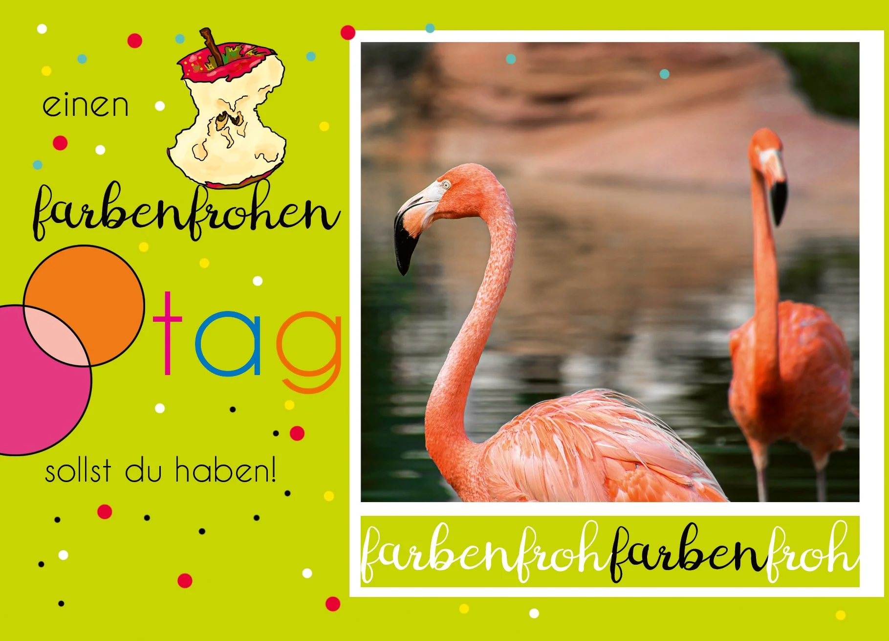 31 A_sonstiges_einen farbenfrohen tag sollst du haben_flamingo_vorderseite Kopie.jpg