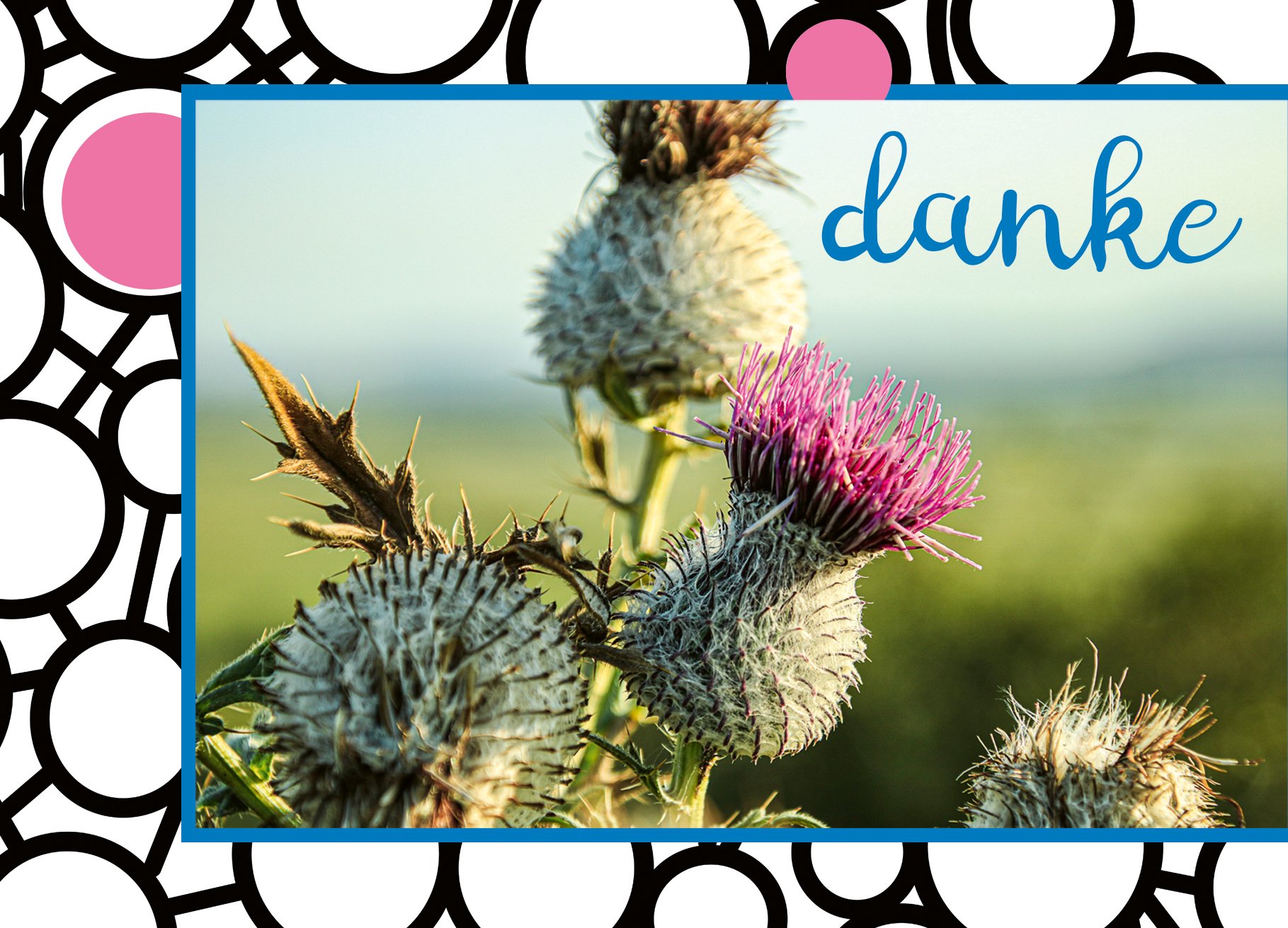2 A_danke_danke_distel_vorderseite Kopie.jpg
